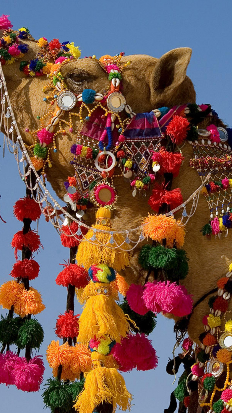Brown Bear With Balloons on Tree. Wallpaper in 750x1334 Resolution
