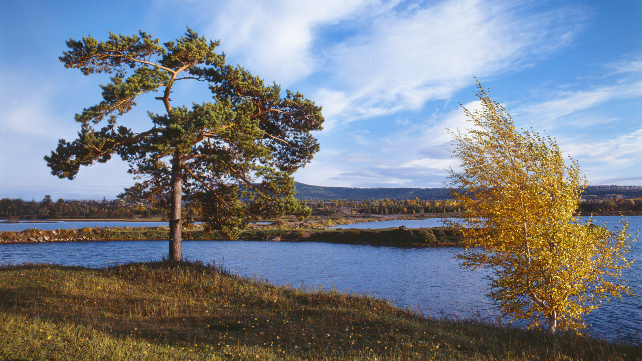 Arbres Verts à Côté de la Rivière Sous Ciel Bleu Pendant la Journée. Wallpaper in 1280x720 Resolution