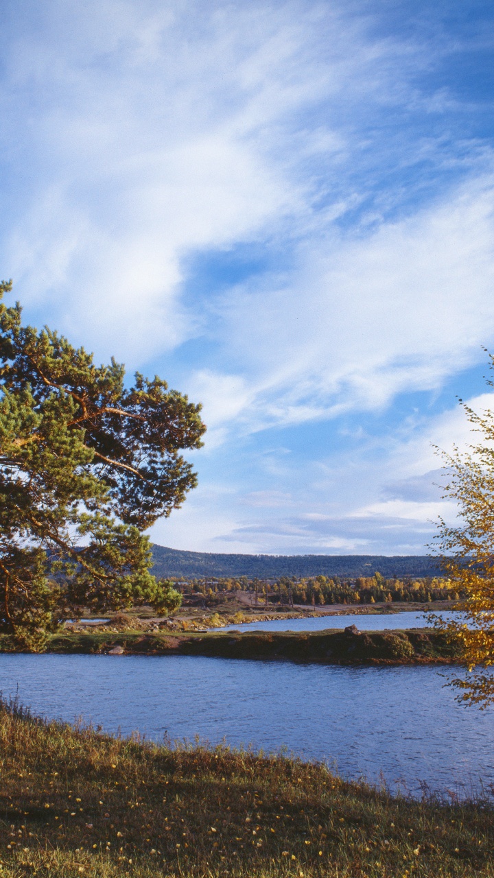 Arbres Verts à Côté de la Rivière Sous Ciel Bleu Pendant la Journée. Wallpaper in 720x1280 Resolution