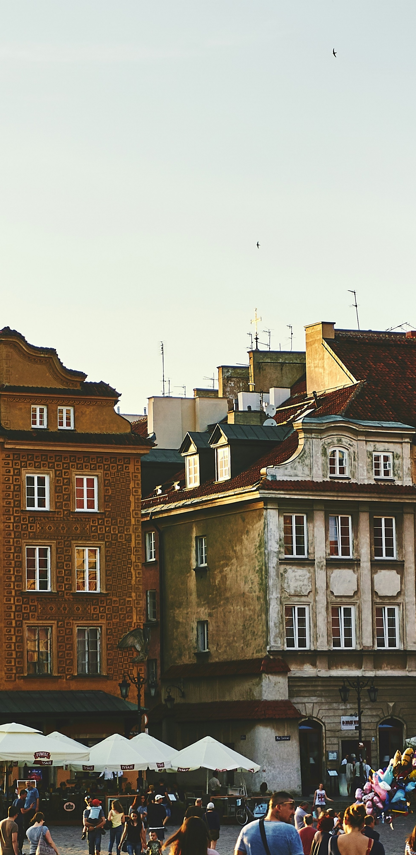 Gebäude Europa, Gebäude, Tourismus, Reise, Ok, Doki Hostel. Wallpaper in 1440x2960 Resolution