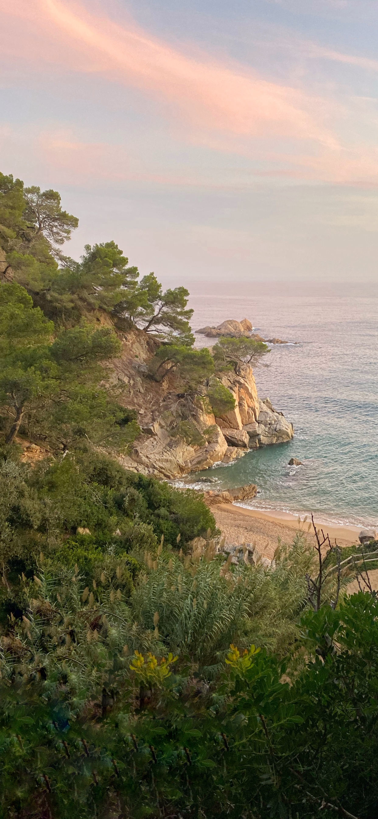 Coast, Vegetation, Shore, Ocean, Bank. Wallpaper in 1242x2688 Resolution