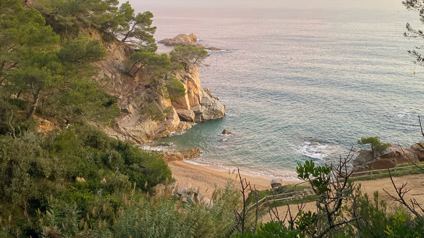 Coast, Vegetation, Shore, Ocean, Bank. Wallpaper in 1366x768 Resolution