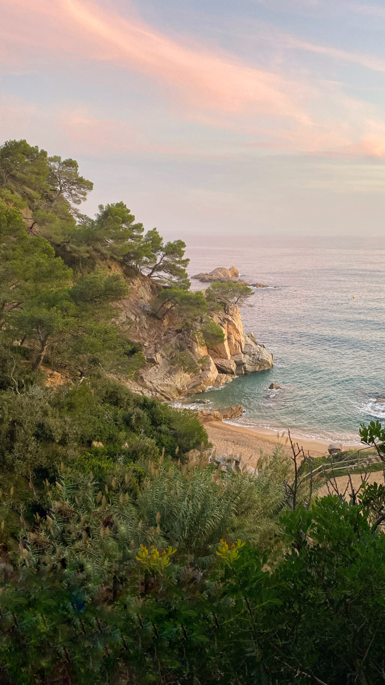Coast, Vegetation, Shore, Ocean, Bank. Wallpaper in 750x1334 Resolution
