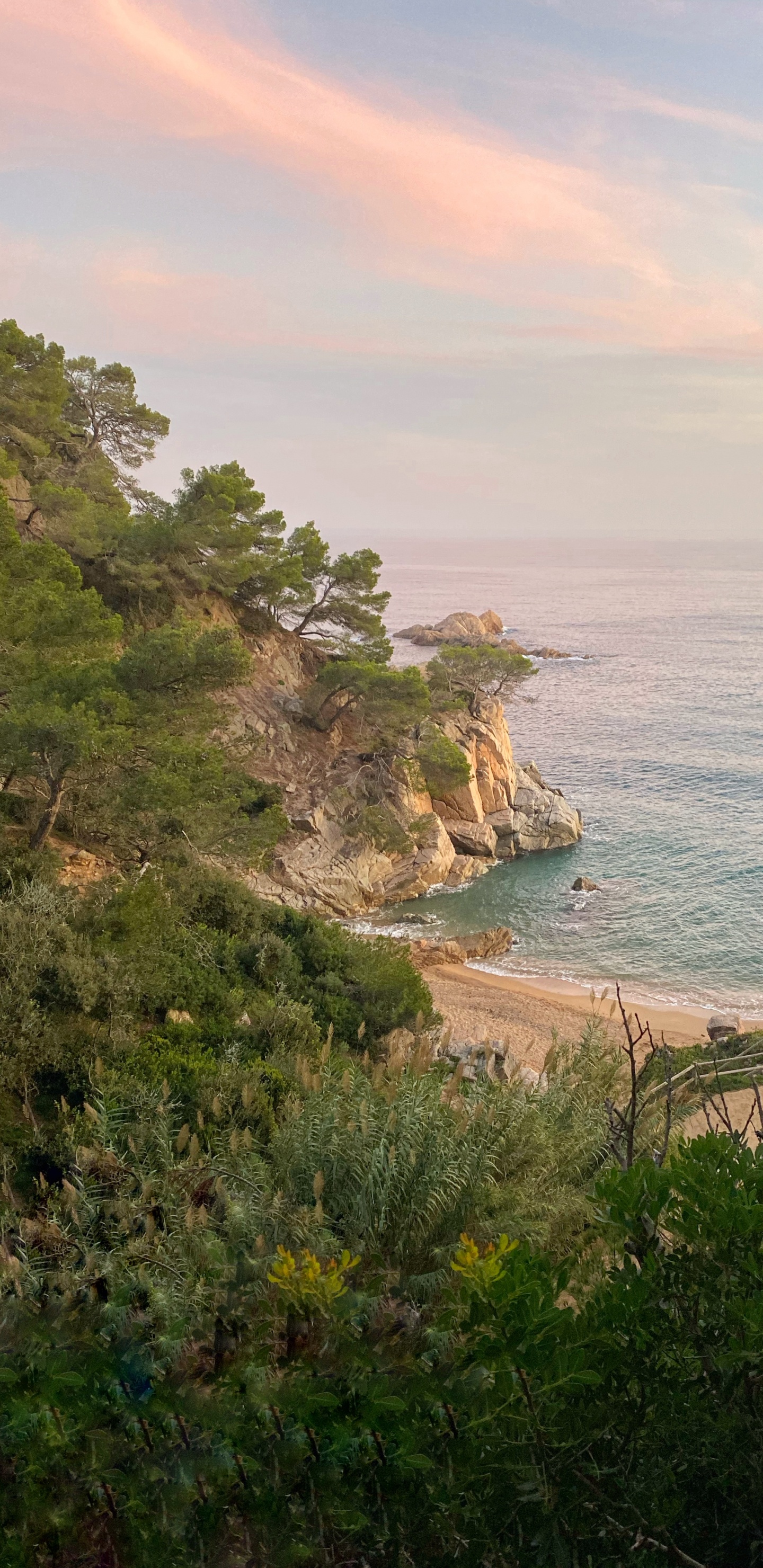 Costa, la Vegetación, Orilla, Oceano, Bay. Wallpaper in 1440x2960 Resolution