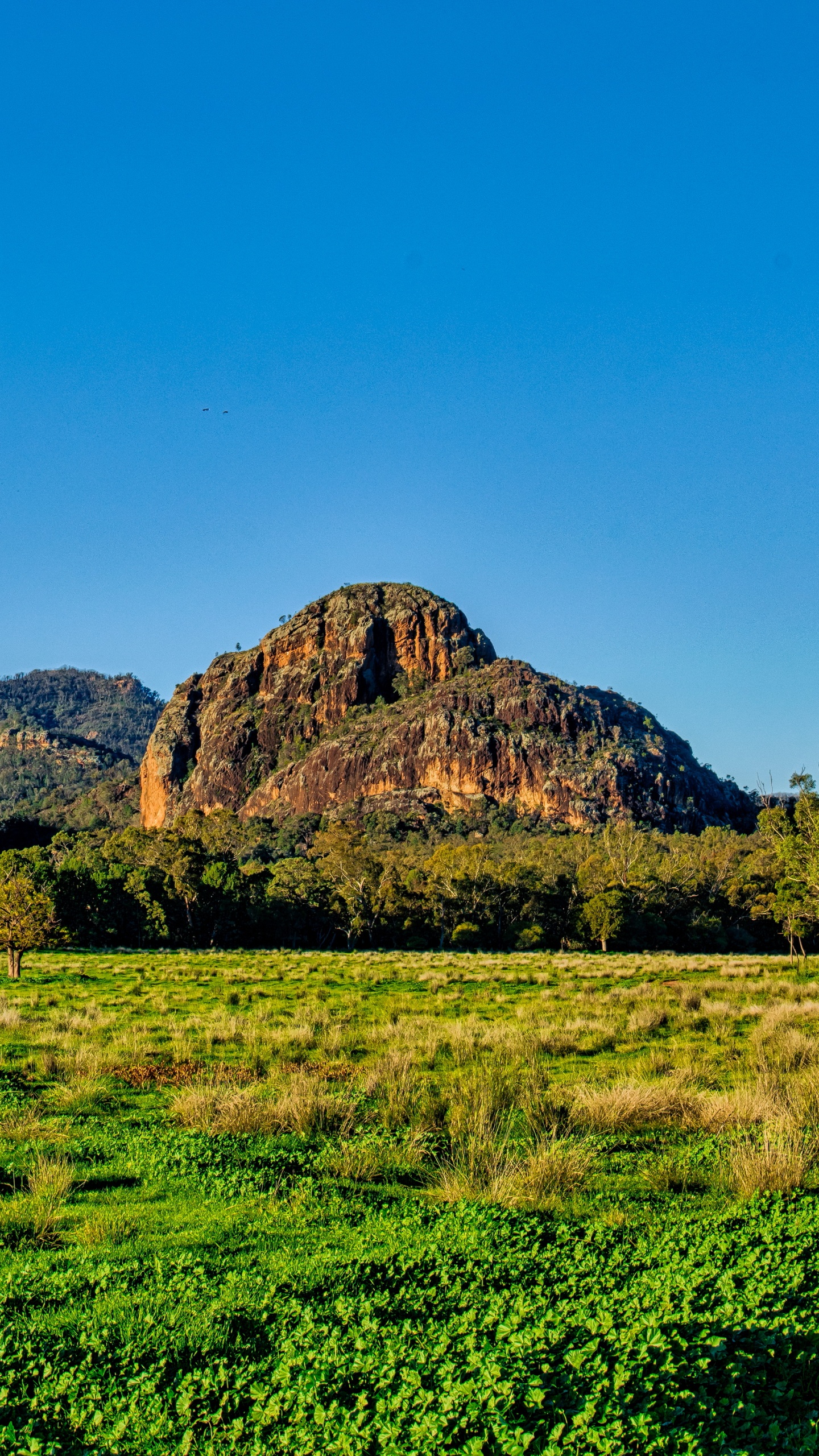 Green Grass Field Near Brown Mountain Under Blue Sky During Daytime. Wallpaper in 1440x2560 Resolution