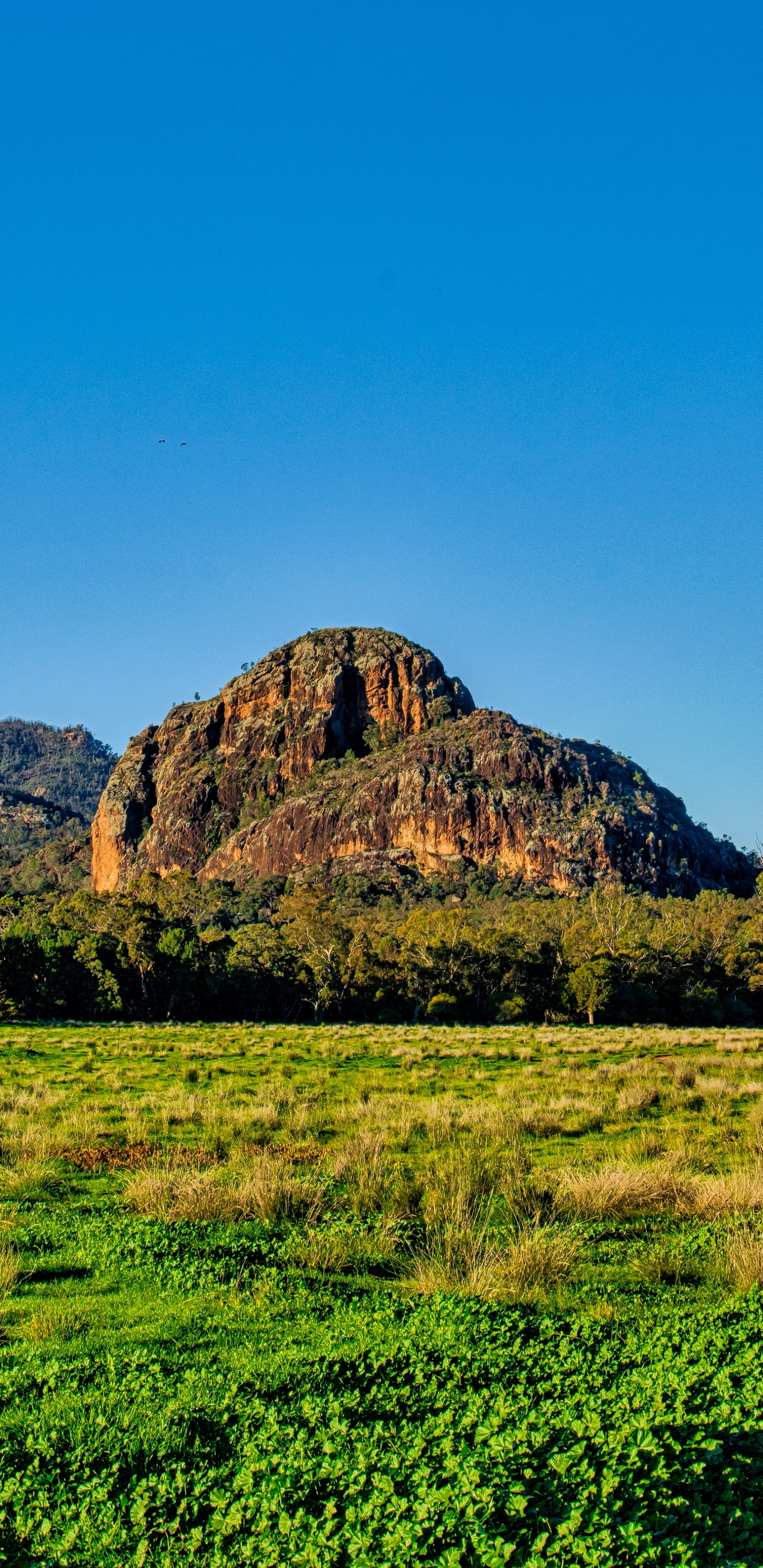 Green Grass Field Near Brown Mountain Under Blue Sky During Daytime. Wallpaper in 1440x2960 Resolution