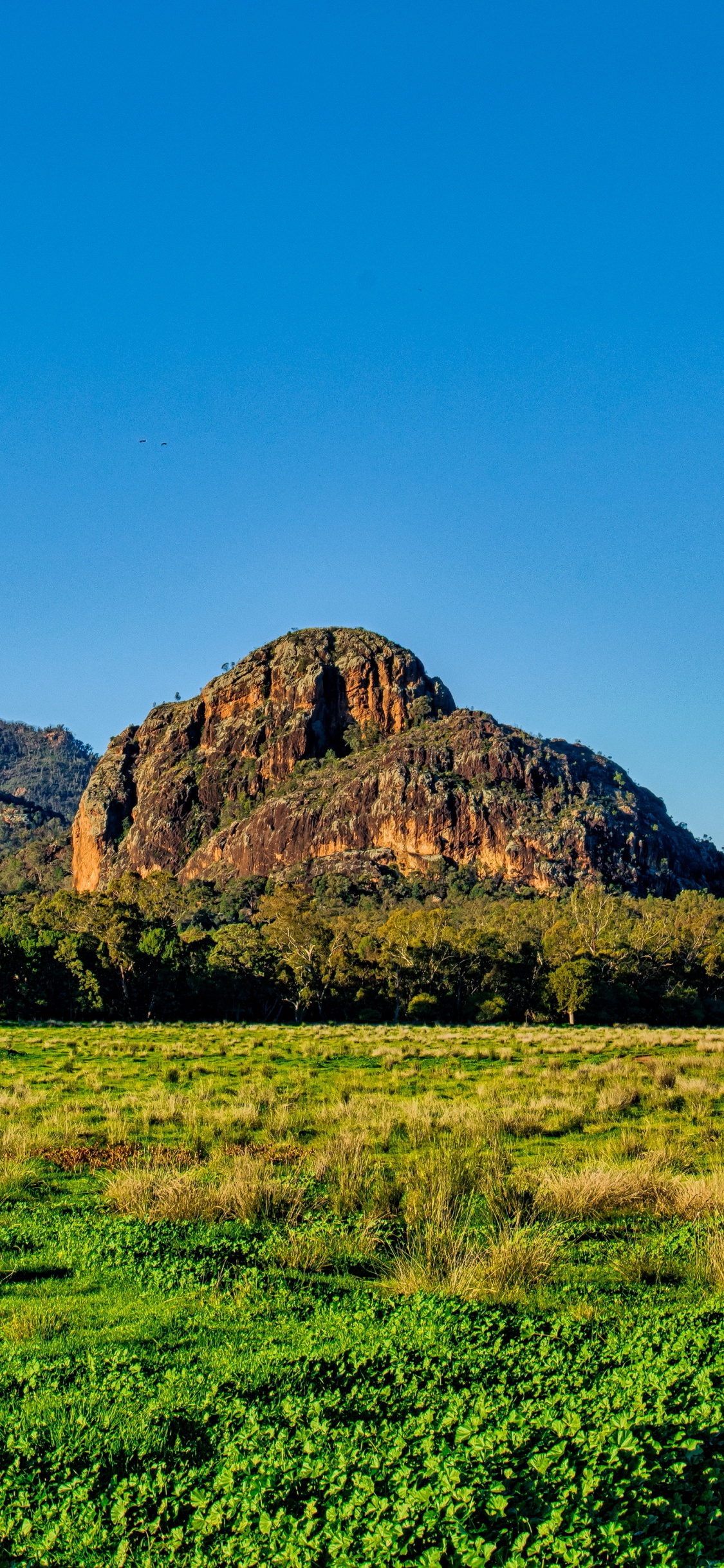 Champ D'herbe Verte Près de la Montagne Brune Sous un Ciel Bleu Pendant la Journée. Wallpaper in 1125x2436 Resolution