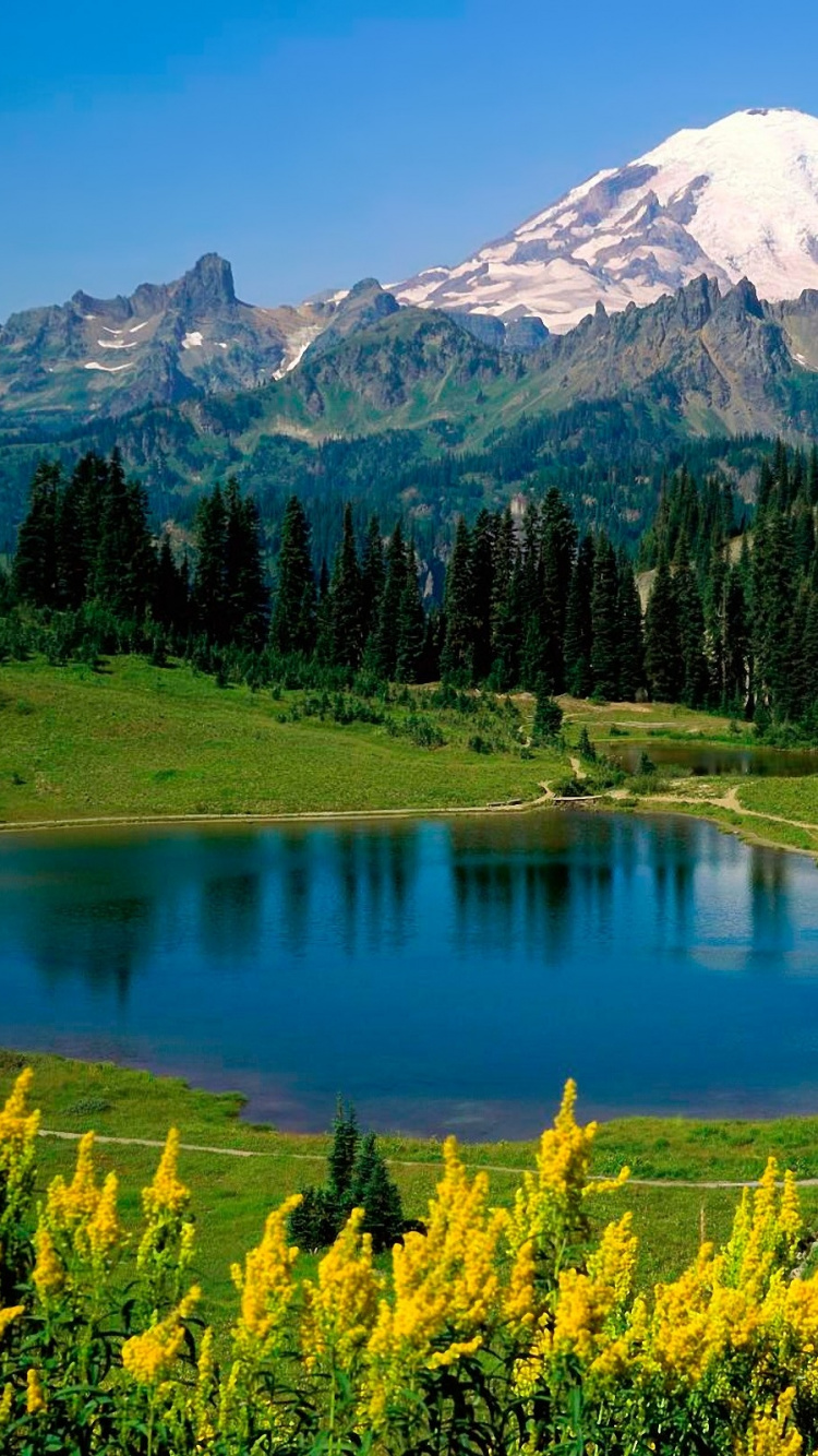 Green Pine Trees Near Lake and Snow Covered Mountain During Daytime. Wallpaper in 750x1334 Resolution