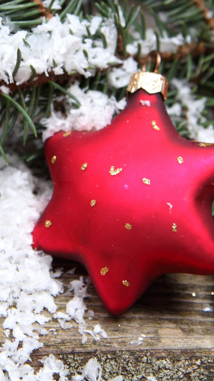 Christmas Day, New Year, Branch, Christmas Ornament, Fir. Wallpaper in 750x1334 Resolution