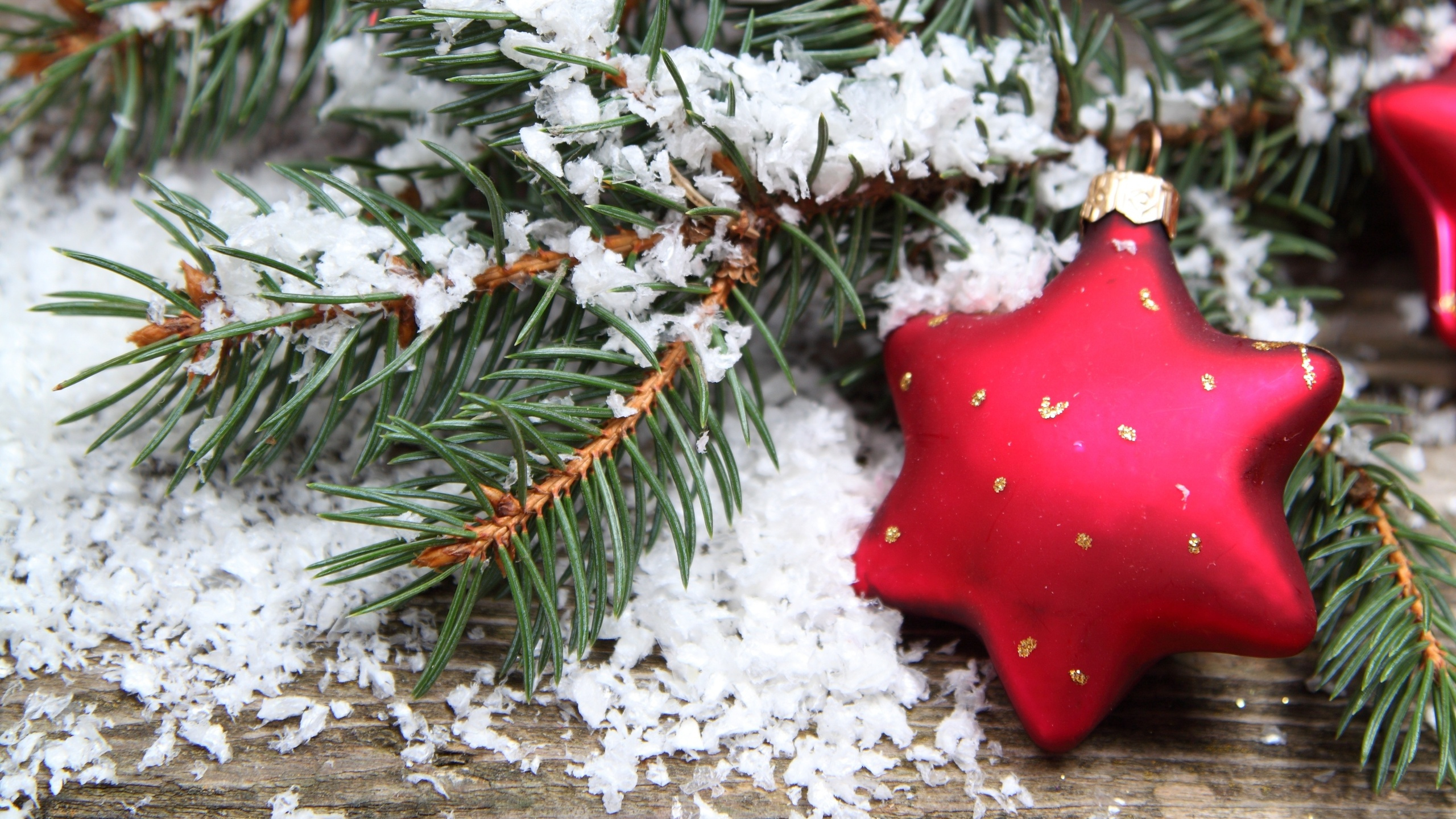 El Día De Navidad, Nochevieja, Sucursal, Adorno de Navidad, Invierno. Wallpaper in 2560x1440 Resolution