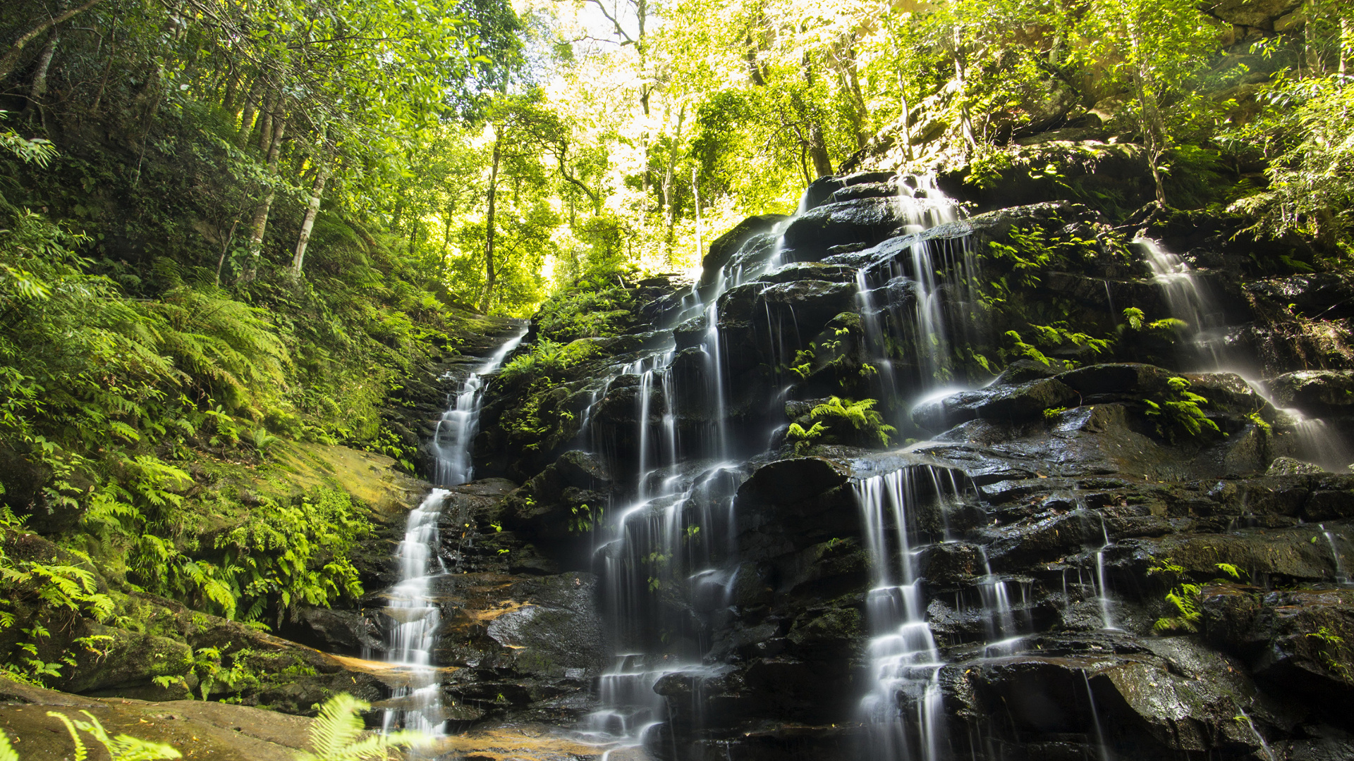 Cascades au Milieu de la Forêt Pendant la Journée. Wallpaper in 1920x1080 Resolution