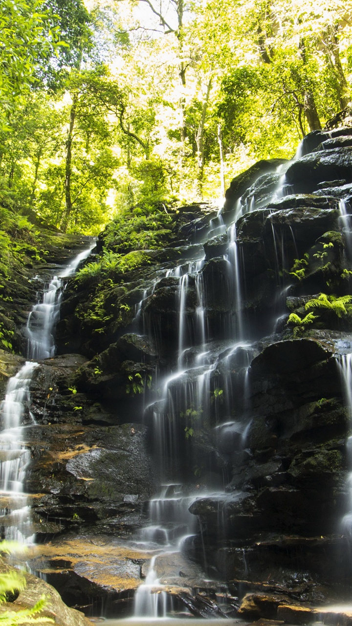 Cascades au Milieu de la Forêt Pendant la Journée. Wallpaper in 720x1280 Resolution