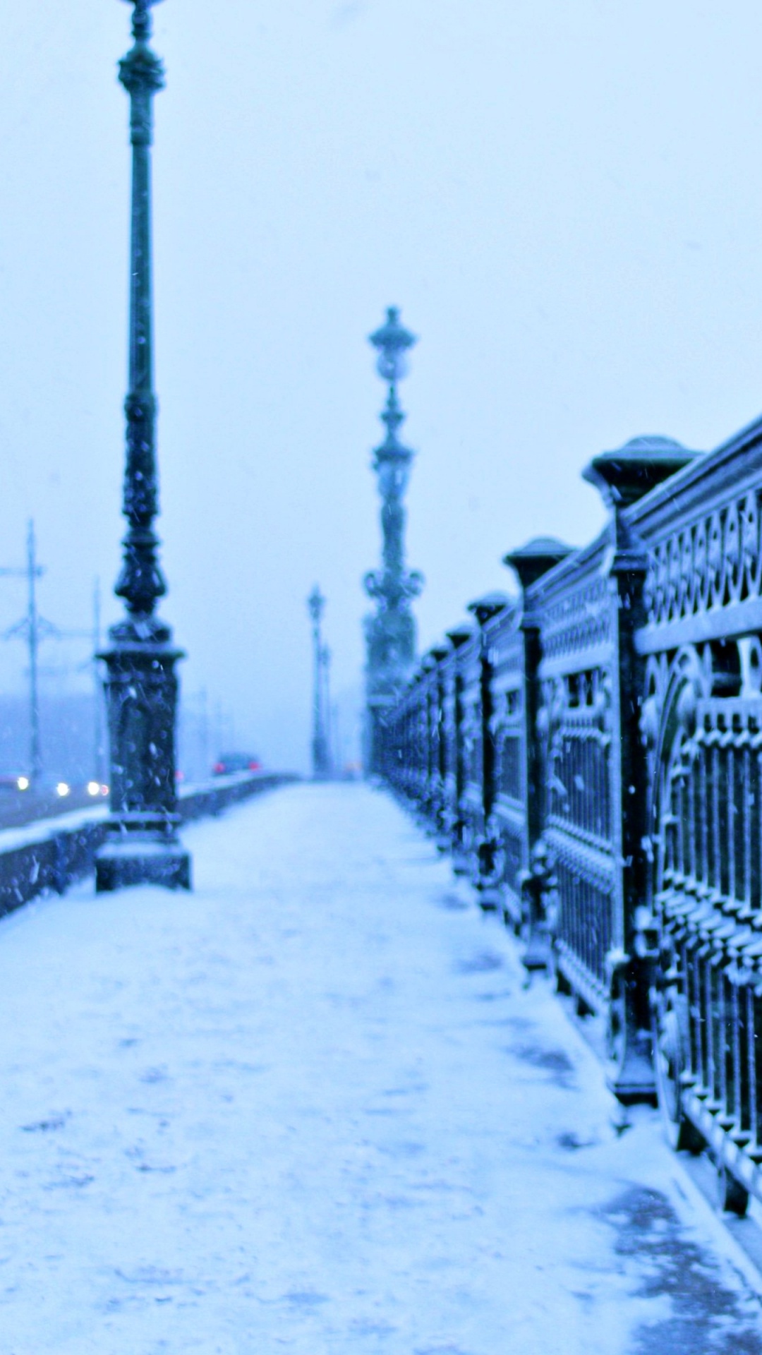 Black Metal Fence on Snow Covered Ground. Wallpaper in 1080x1920 Resolution