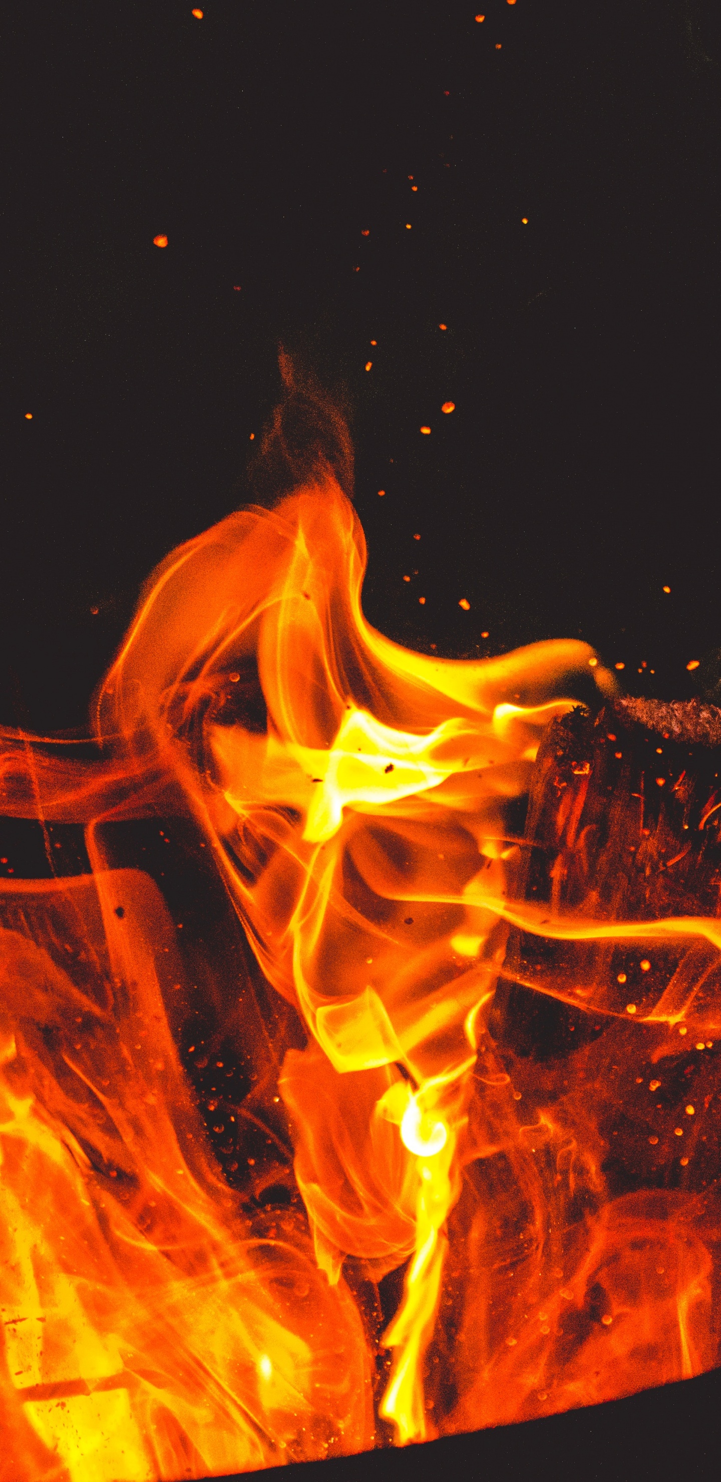 火焰, 热, 篝火, 橙色 壁纸 1440x2960 允许