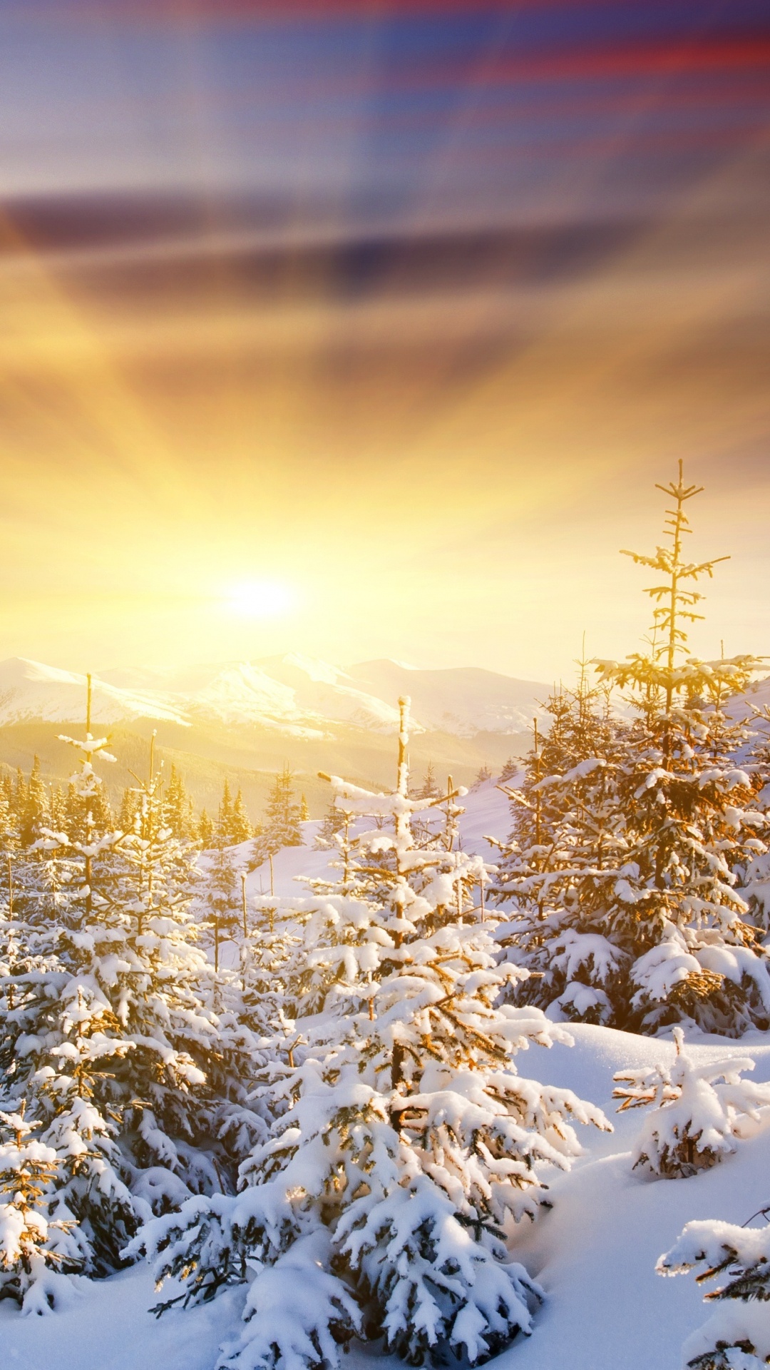 日出, 冬天, 性质, 自然景观, 冻结 壁纸 1080x1920 允许
