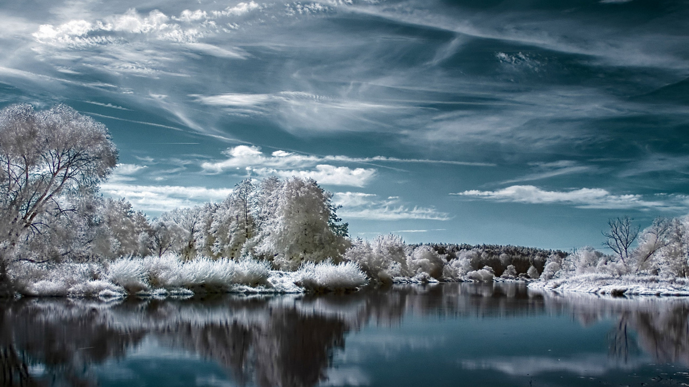 Arbres Blancs Sur le Sol Couvert de Neige à Côté du Lac Sous un Ciel Nuageux Bleu et Blanc Pendant la Journée. Wallpaper in 1366x768 Resolution