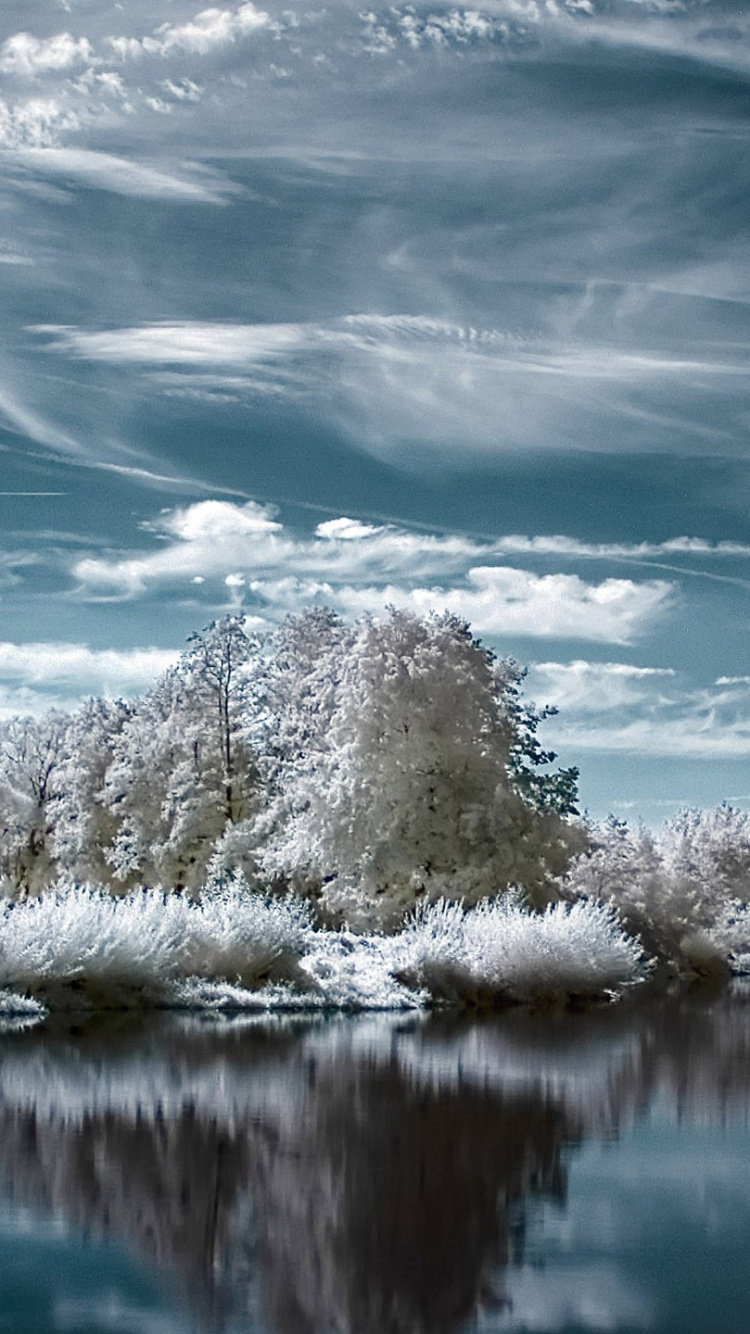 White Trees on Snow Covered Ground Beside Lake Under Blue and White Cloudy Sky During Daytime. Wallpaper in 750x1334 Resolution