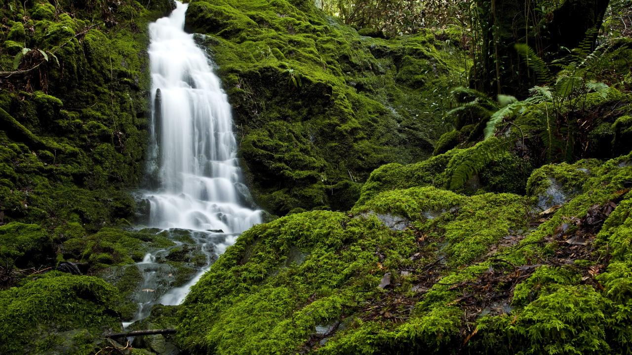 Waterfalls in The Middle of Green Moss Covered Rocks. Wallpaper in 1280x720 Resolution