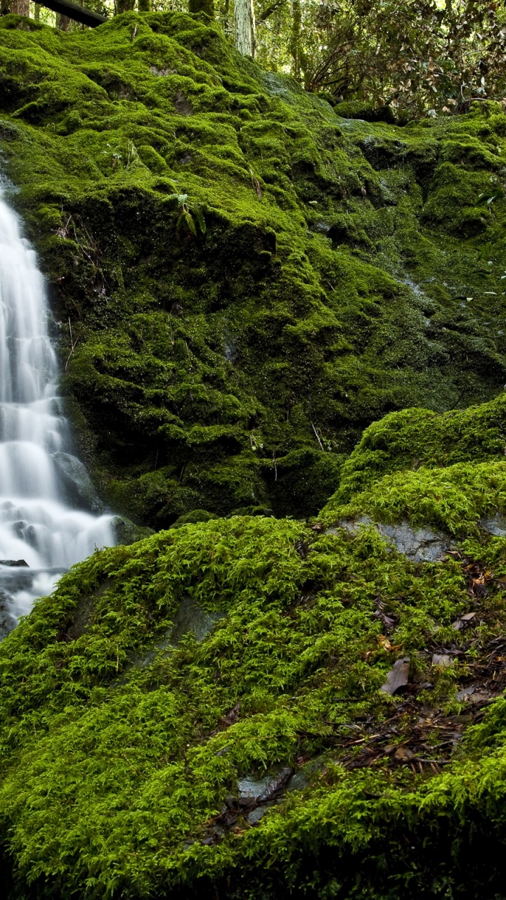 Waterfalls in The Middle of Green Moss Covered Rocks. Wallpaper in 720x1280 Resolution