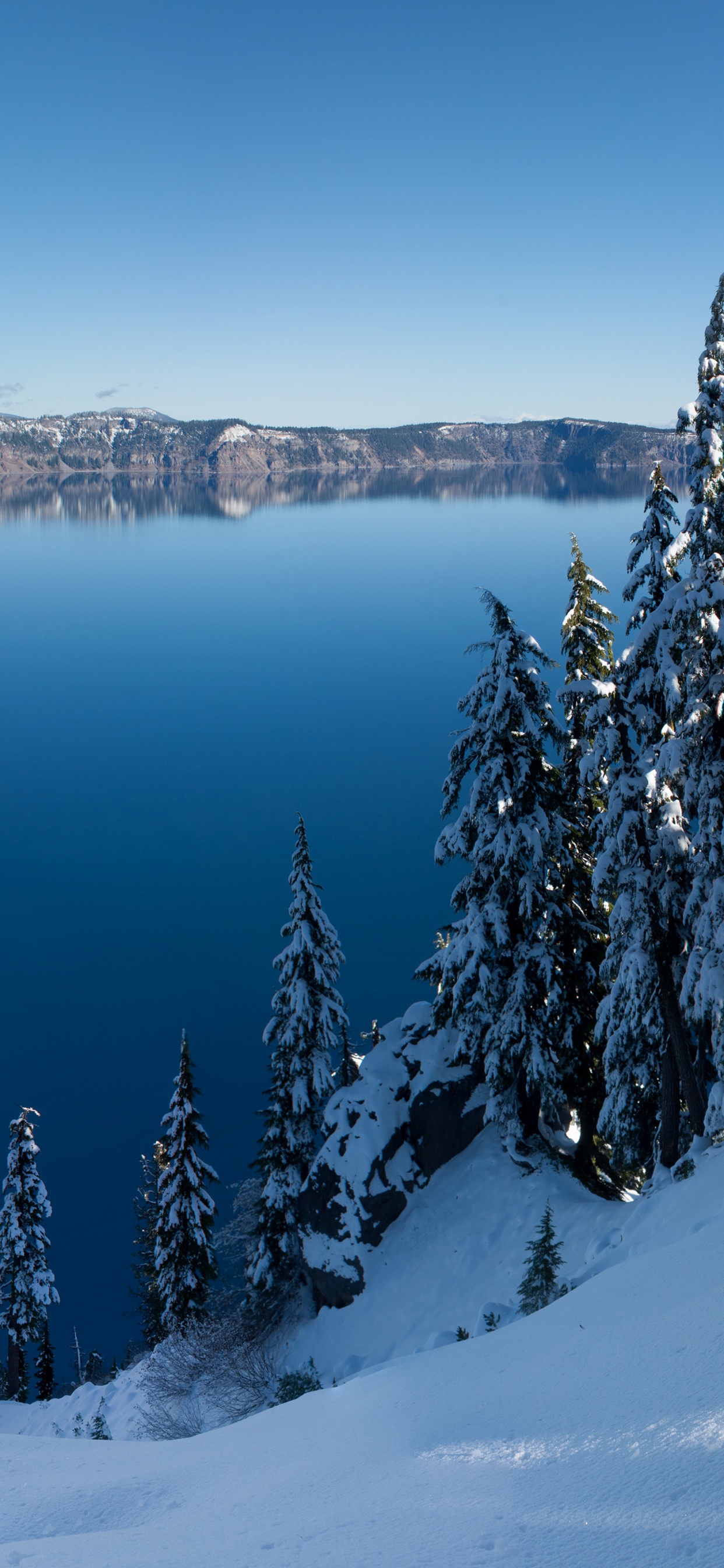 Green Pine Trees on Snow Covered Mountain During Daytime. Wallpaper in 1242x2688 Resolution