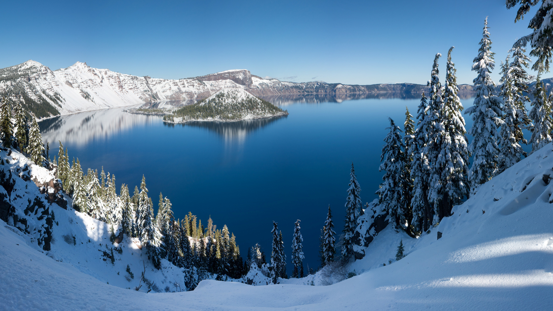 Green Pine Trees on Snow Covered Mountain During Daytime. Wallpaper in 1920x1080 Resolution