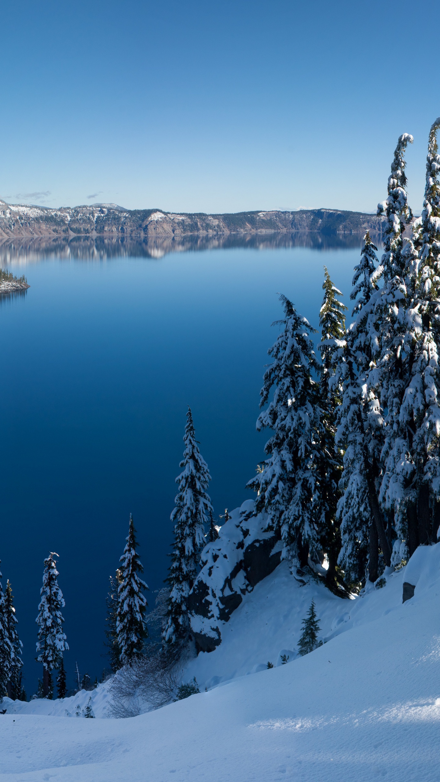 Grüne Pinien Auf Schneebedeckten Bergen Tagsüber. Wallpaper in 1440x2560 Resolution