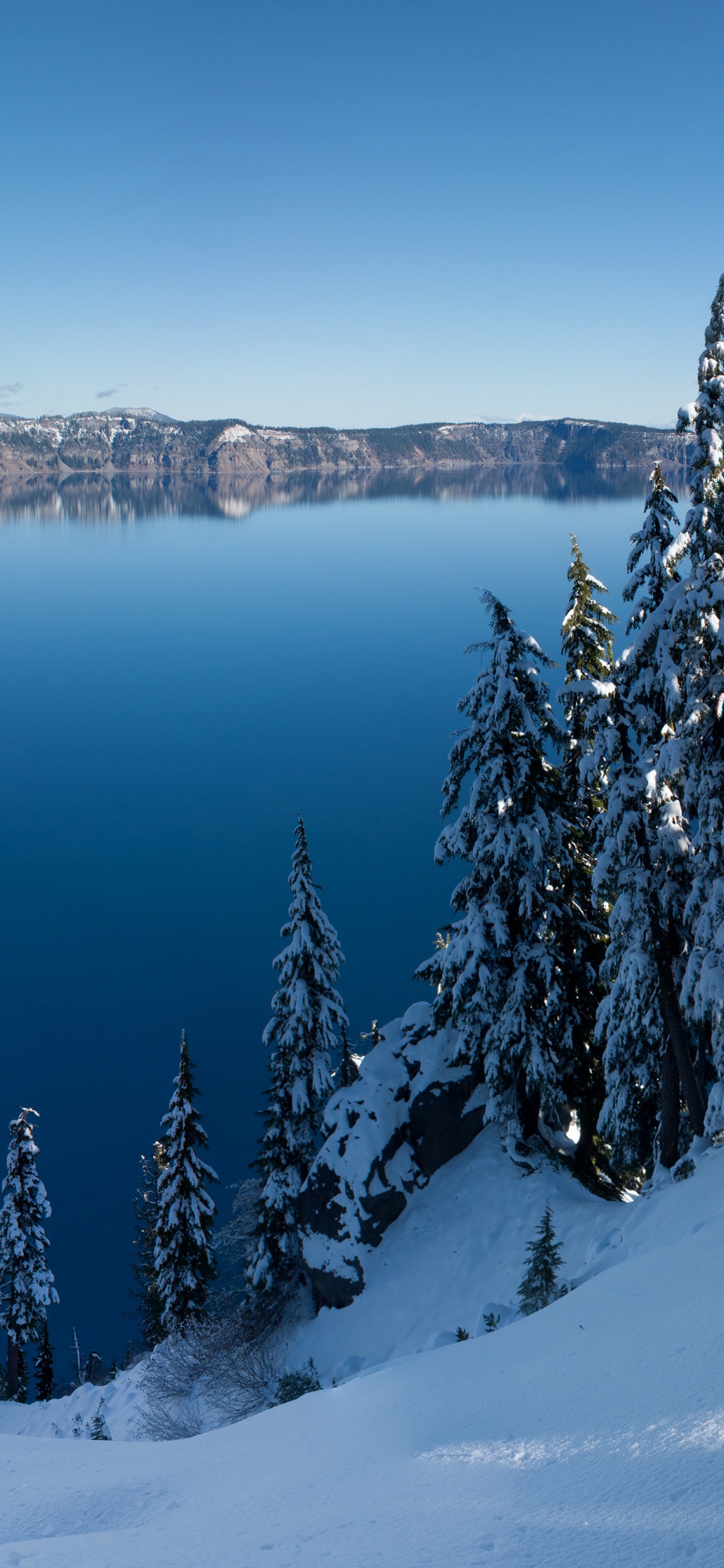 冬天, 性质, 荒野, 冻结, 住宿 壁纸 1125x2436 允许