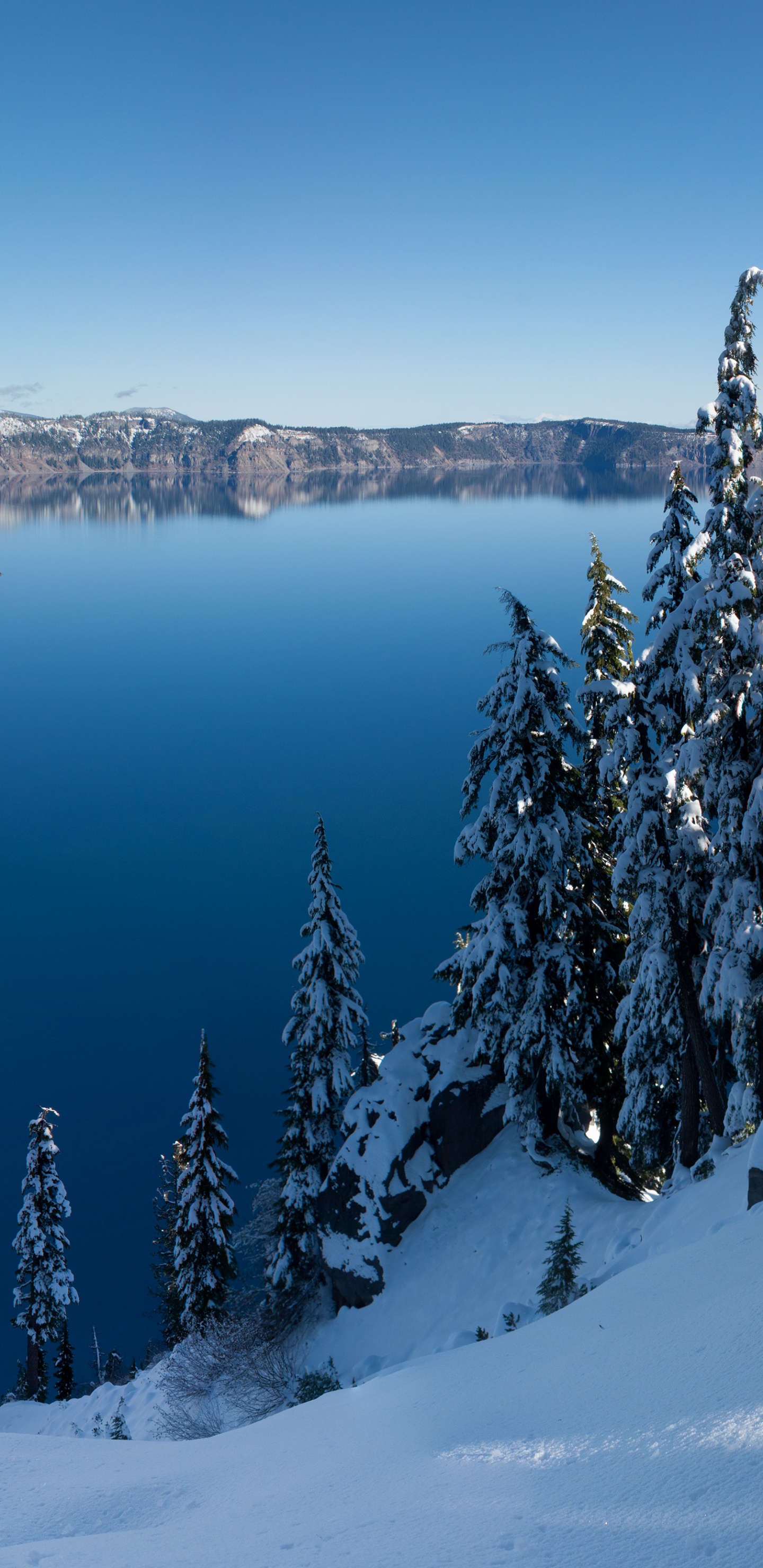 冬天, 性质, 荒野, 冻结, 住宿 壁纸 1440x2960 允许