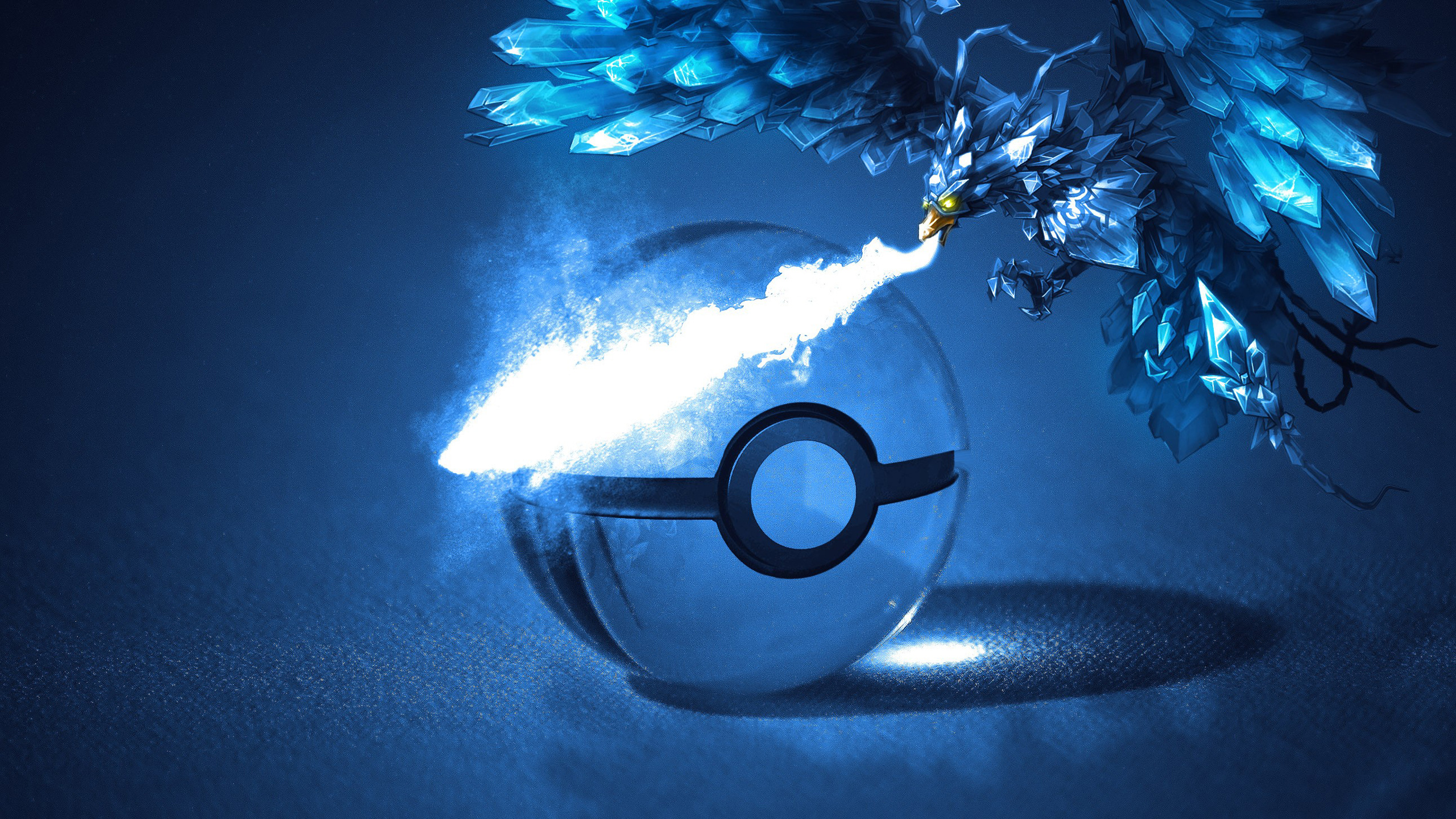 Lupa Negra Sobre Textil de Cuero Negro. Wallpaper in 2560x1440 Resolution