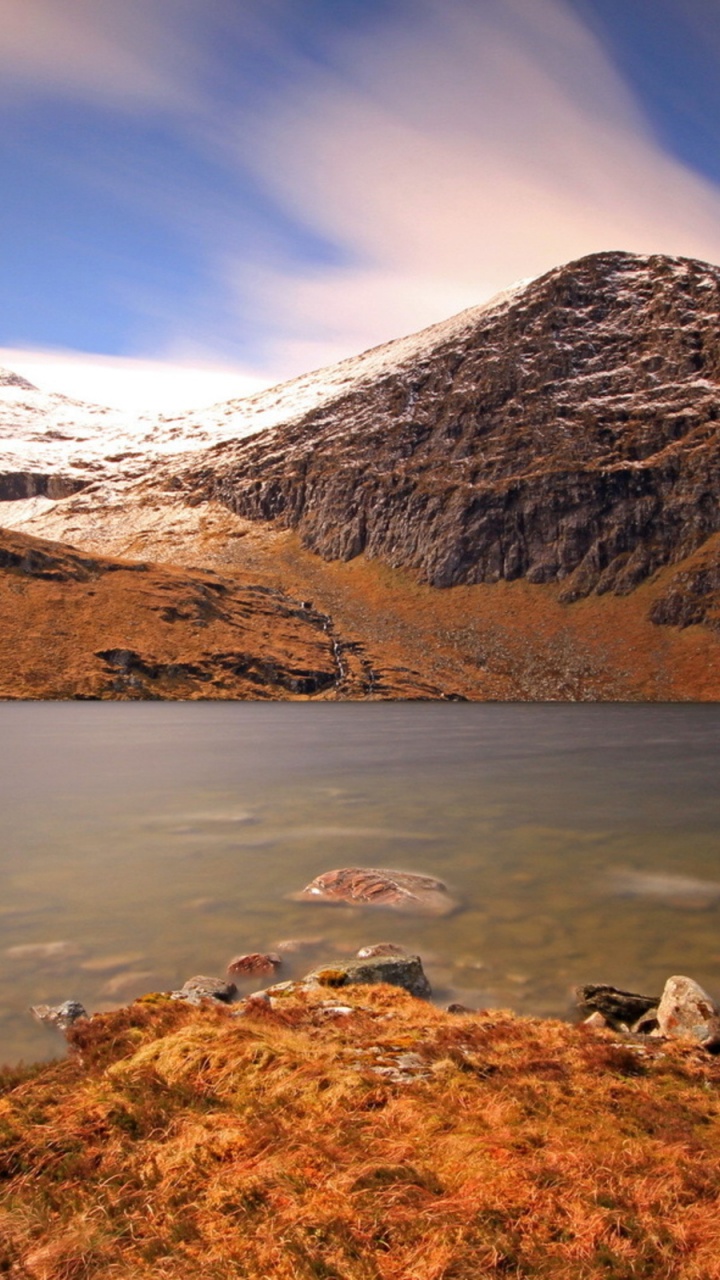 White and Black Bird on Brown Field Near Lake and Snow Covered Mountain During Daytime. Wallpaper in 720x1280 Resolution
