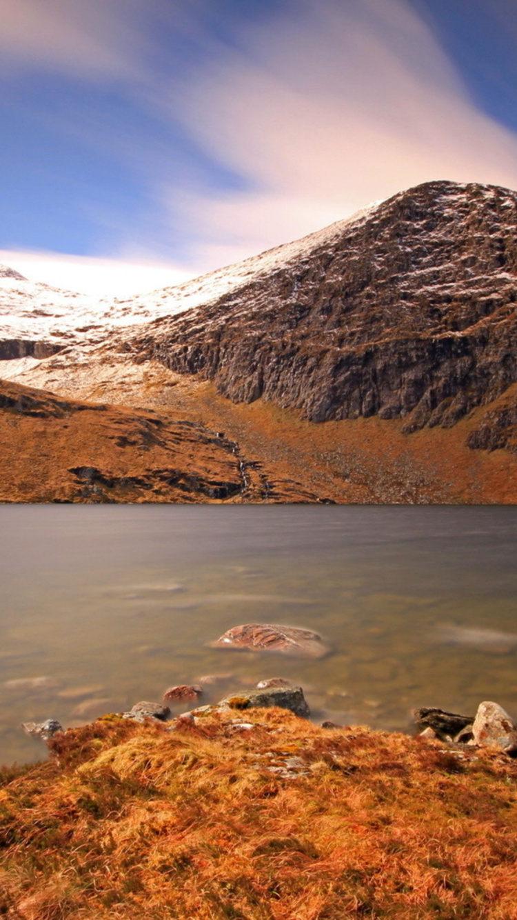 White and Black Bird on Brown Field Near Lake and Snow Covered Mountain During Daytime. Wallpaper in 750x1334 Resolution