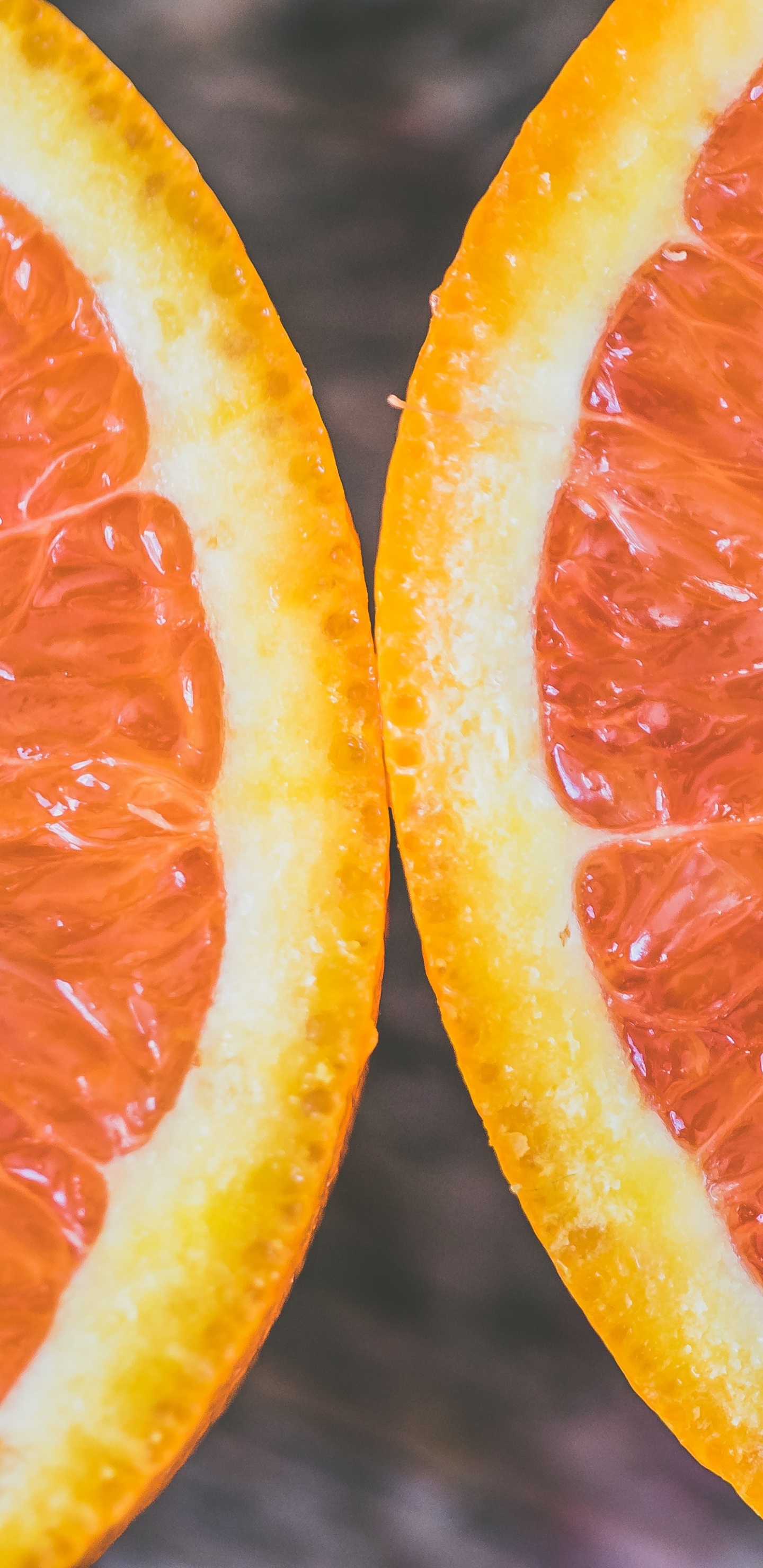 Rodajas de Naranja en Fotografía de Cerca. Wallpaper in 1440x2960 Resolution