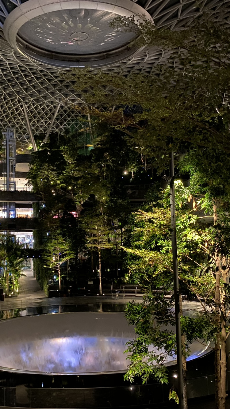 Singapur, Reflexión, Agua, la Iluminación Del Paisaje, Querido. Wallpaper in 750x1334 Resolution