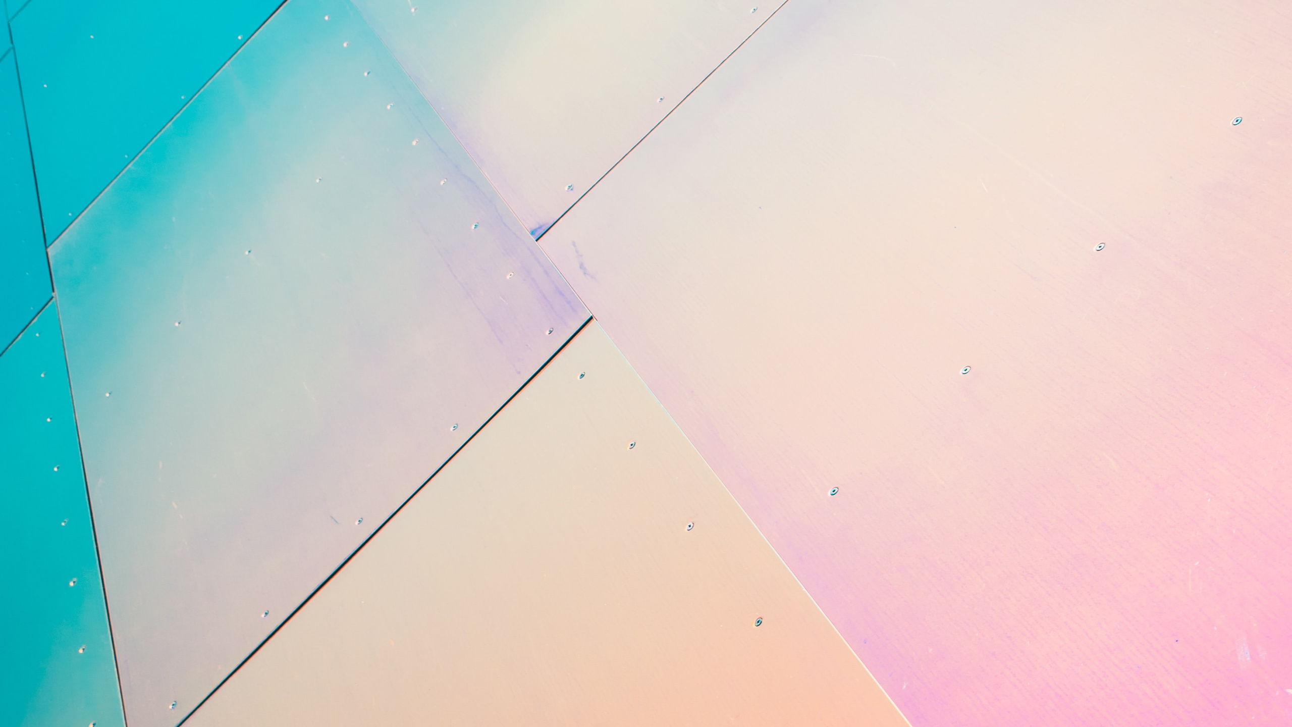 Blau-rosa Holzschrank. Wallpaper in 2560x1440 Resolution