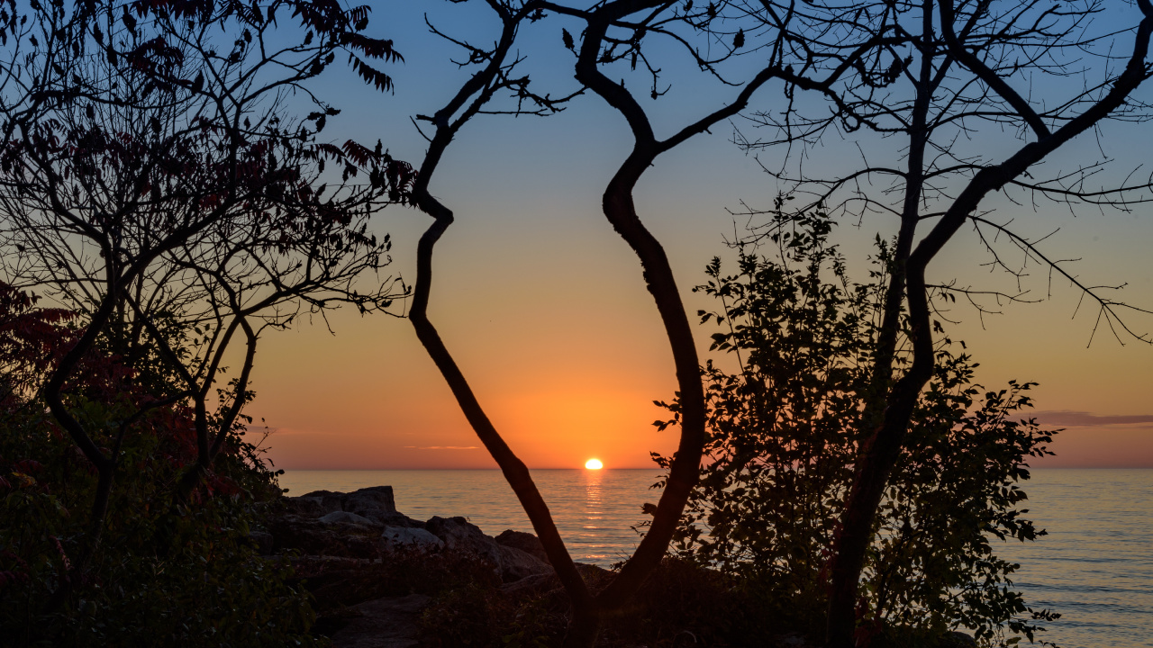 Sunset, Tree, Nature, Sunrise, Branch. Wallpaper in 1280x720 Resolution