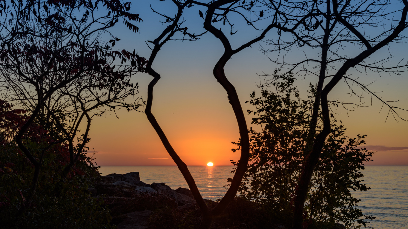 Sunset, Tree, Nature, Sunrise, Branch. Wallpaper in 1366x768 Resolution