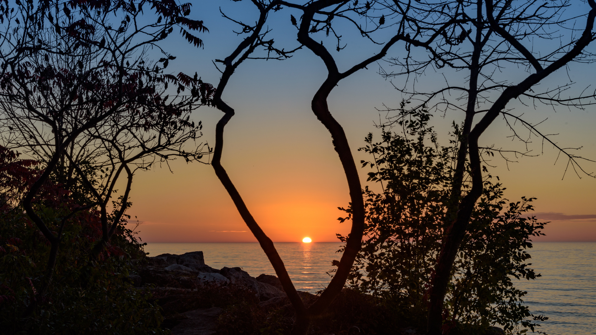 Sunset, Tree, Nature, Sunrise, Branch. Wallpaper in 1920x1080 Resolution