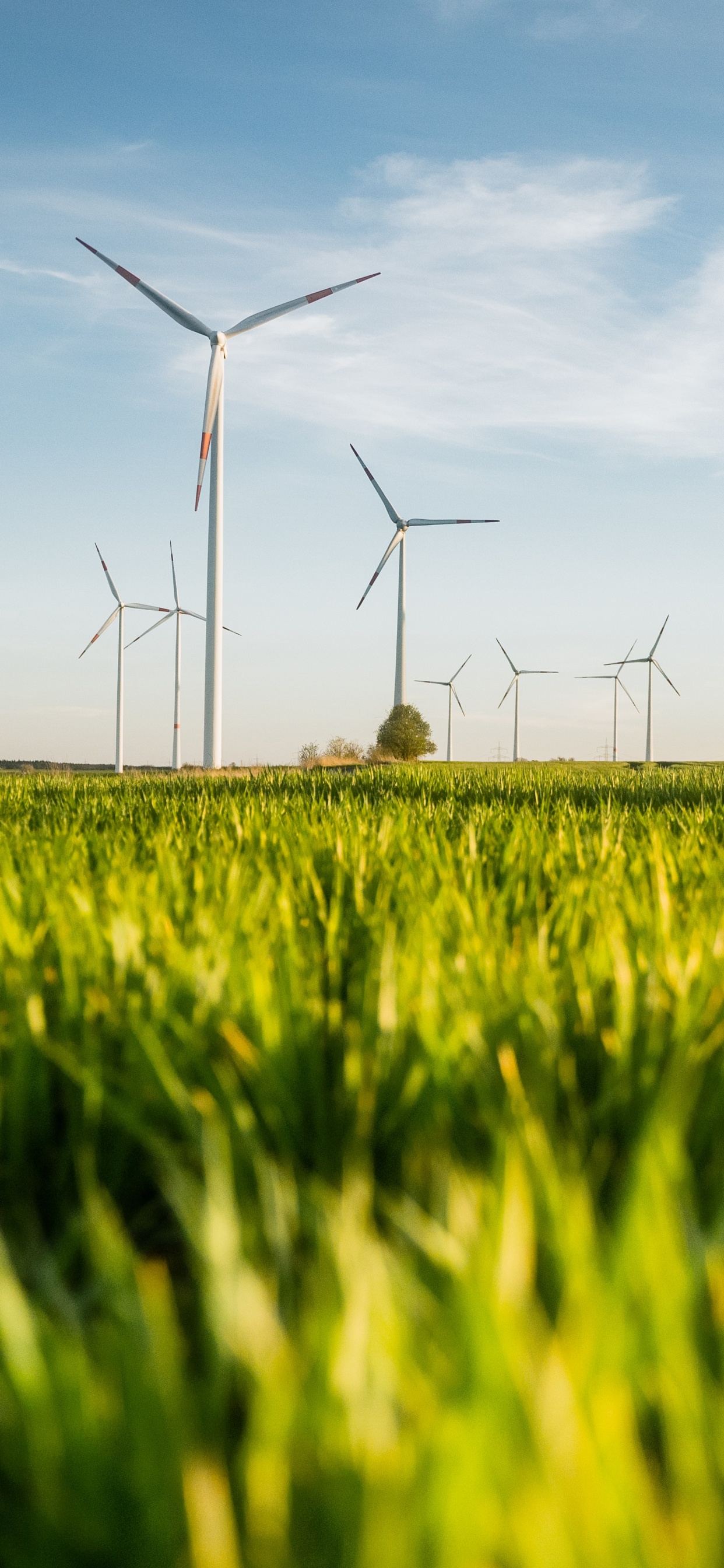 Grassland, Sustainability, Business, Windmill, Cloud. Wallpaper in 1242x2688 Resolution