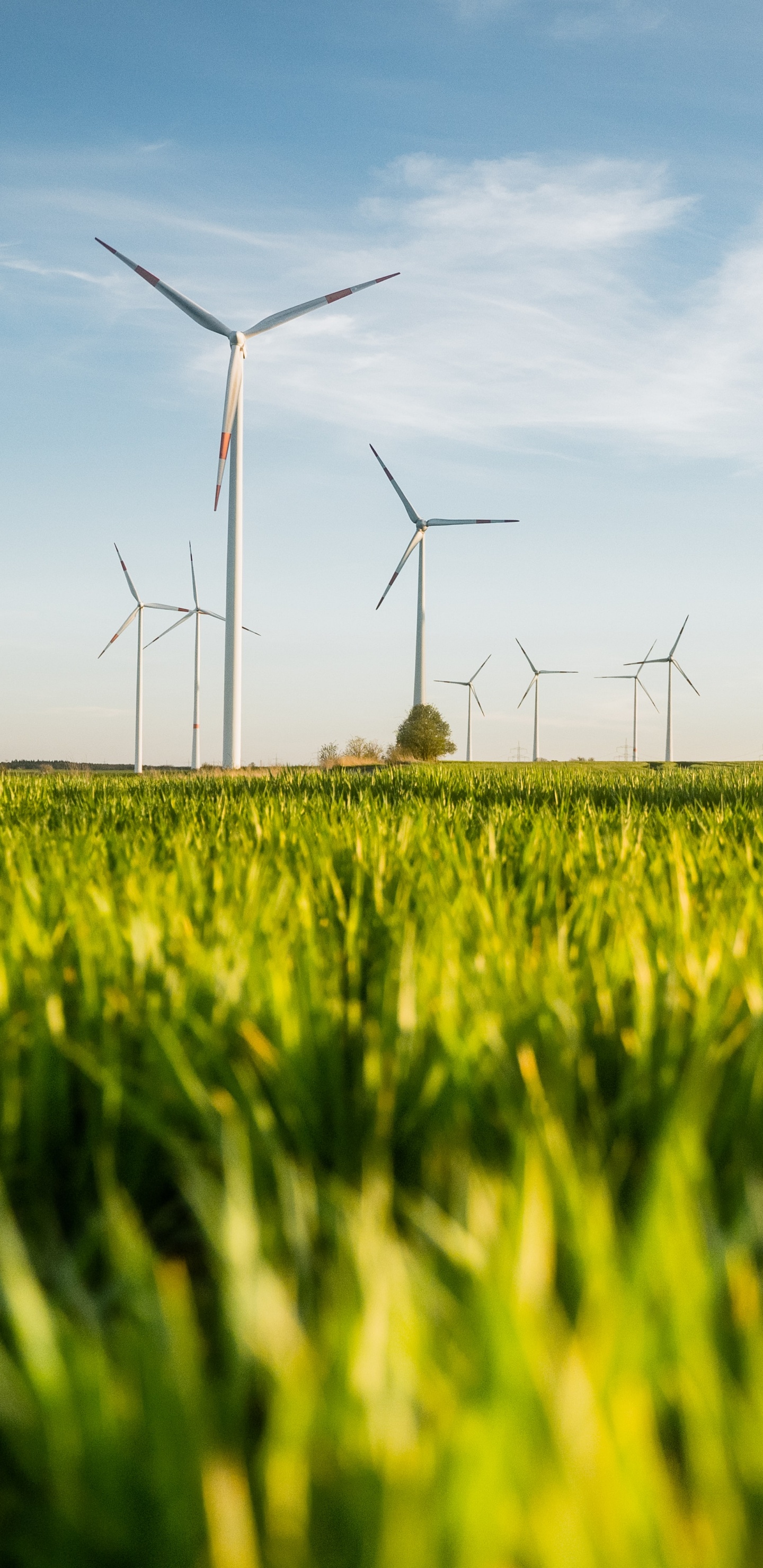 Grünland, Nachhaltigkeit, Business, Windmühle, Cloud. Wallpaper in 1440x2960 Resolution