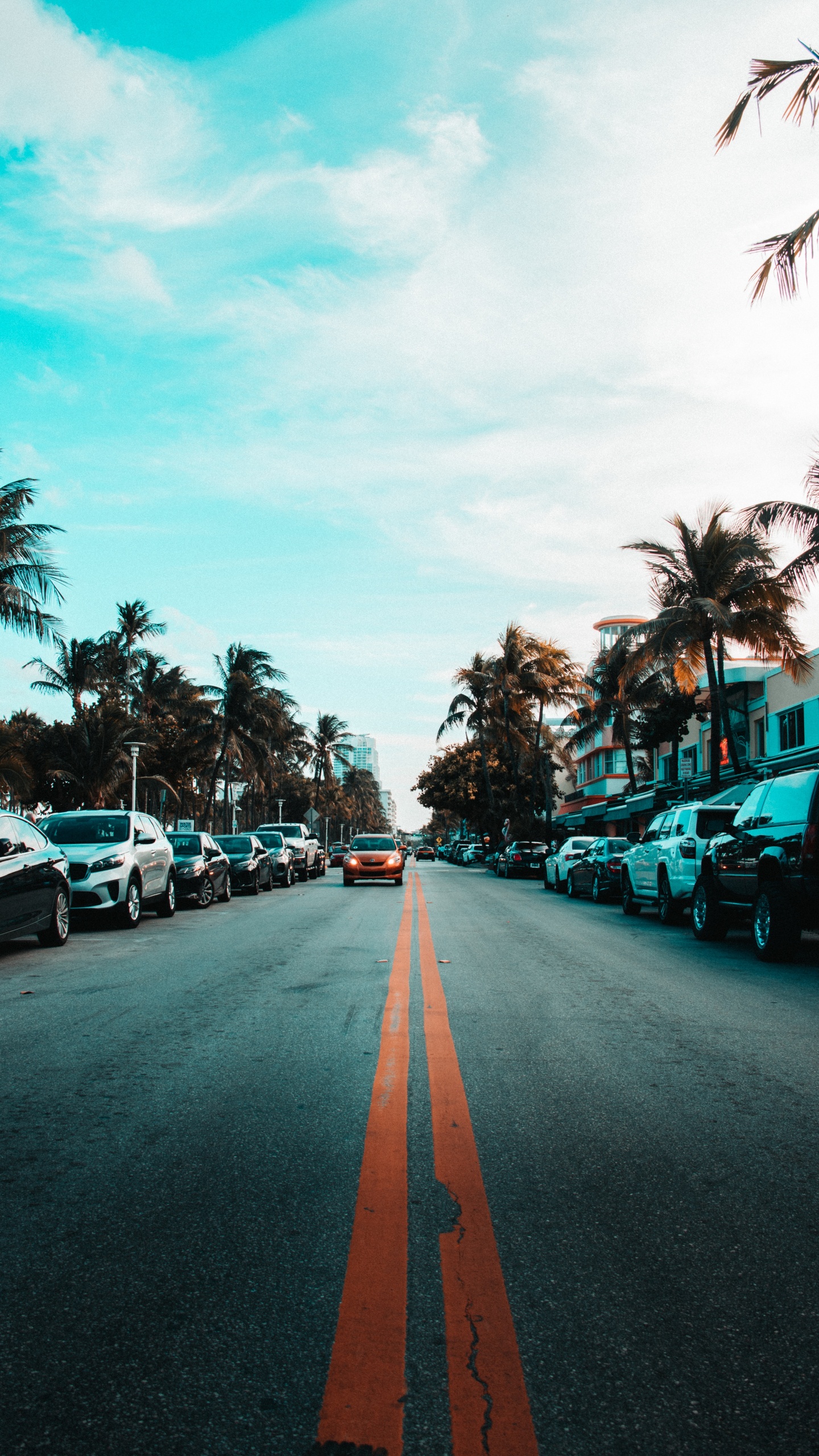 Tagsüber am Straßenrand Geparkte Autos. Wallpaper in 1440x2560 Resolution