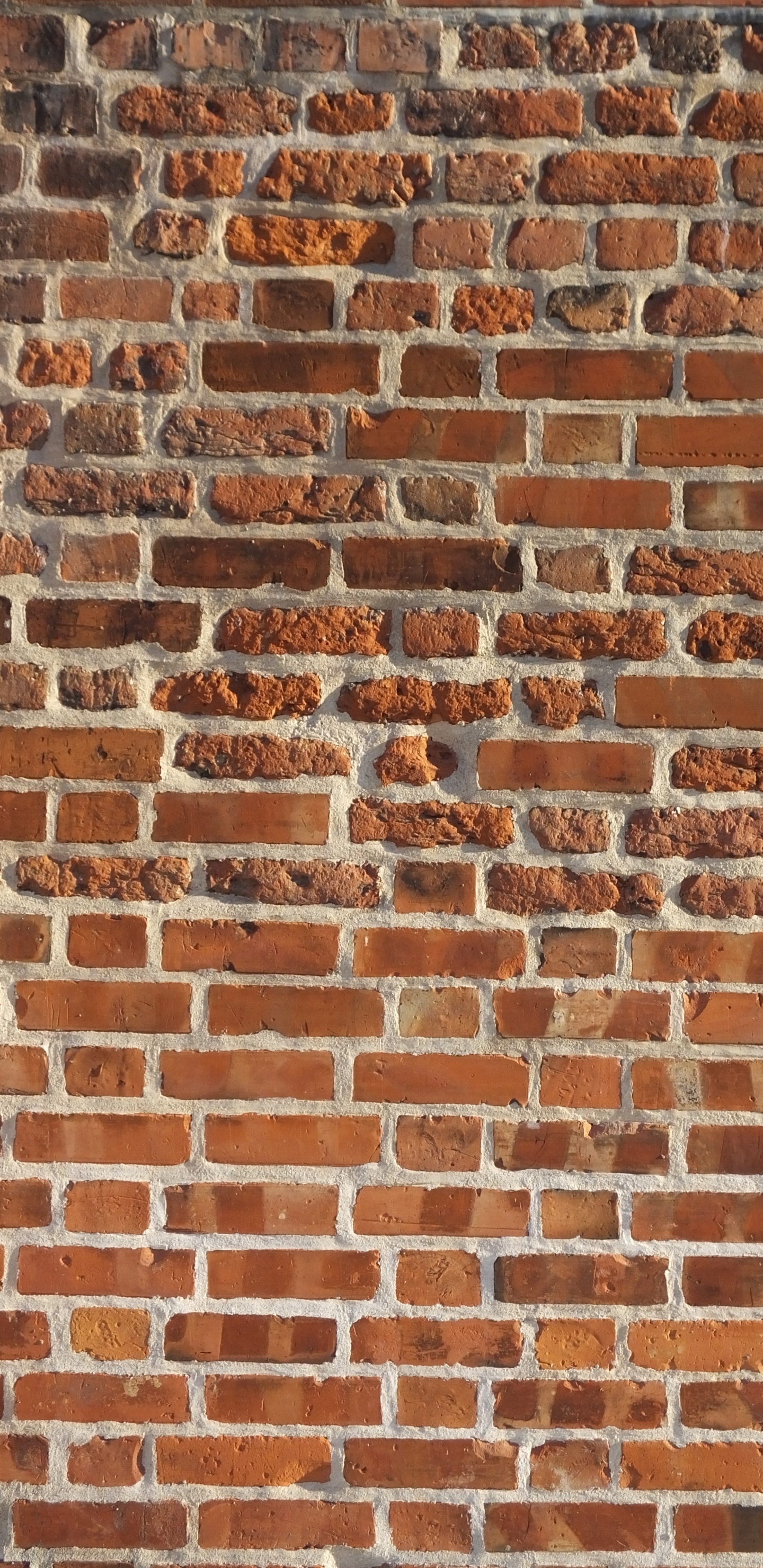 Mur de Briques Marron et Blanc. Wallpaper in 1440x2960 Resolution