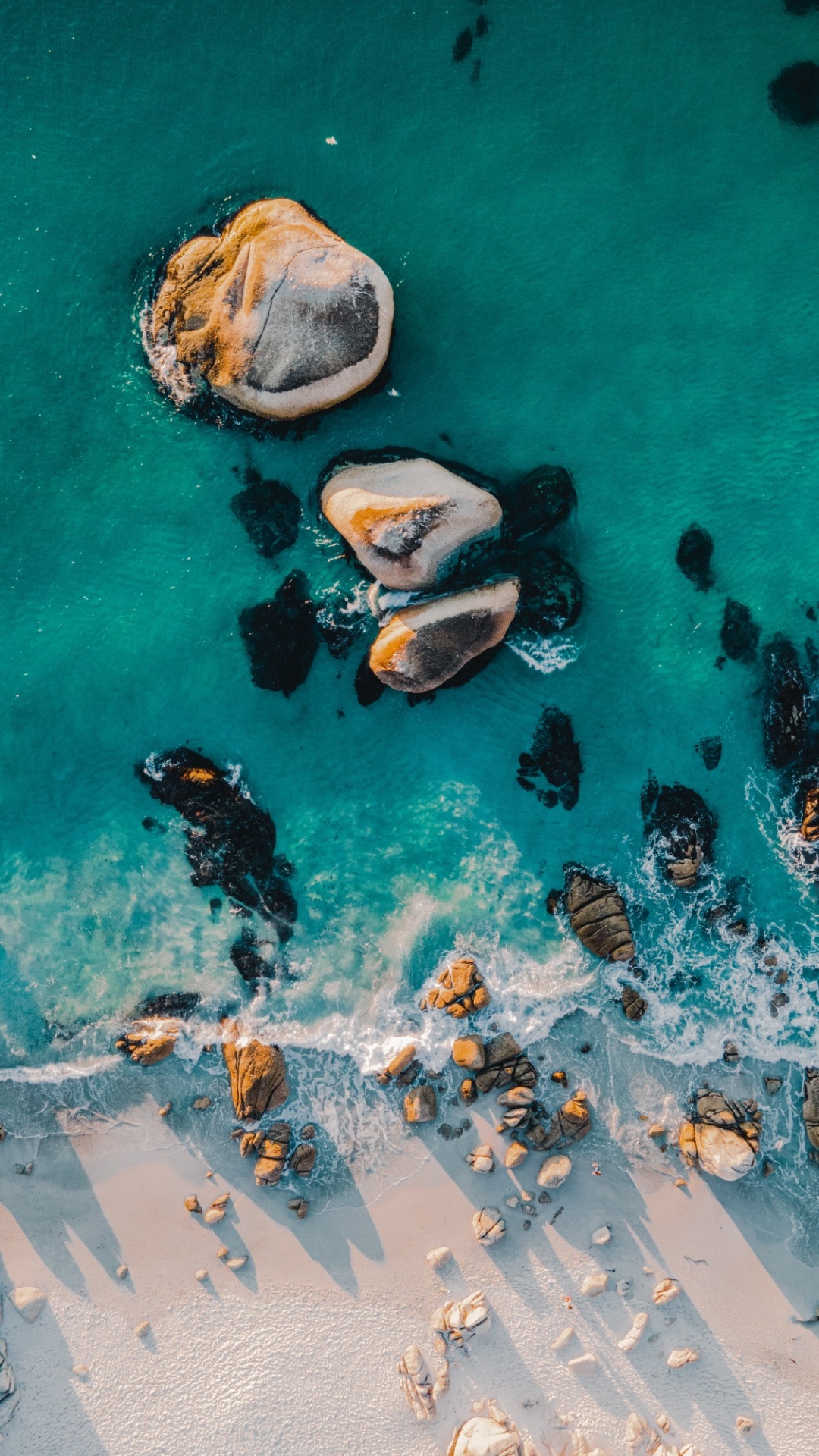 Apples, Water, Aqua, Fish, Leisure. Wallpaper in 1080x1920 Resolution