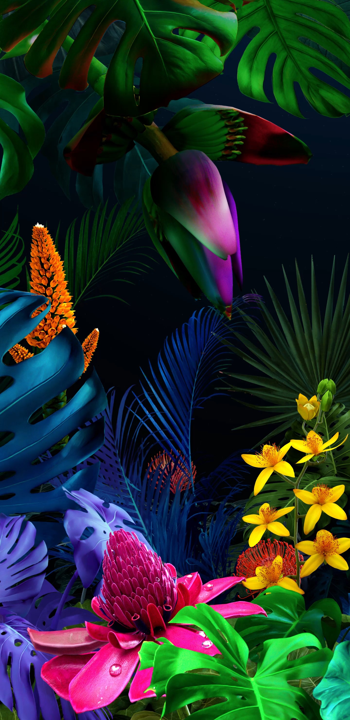 LG, LG G8 ThinQ, Smartphone, Android, Blütenblatt. Wallpaper in 1440x2960 Resolution