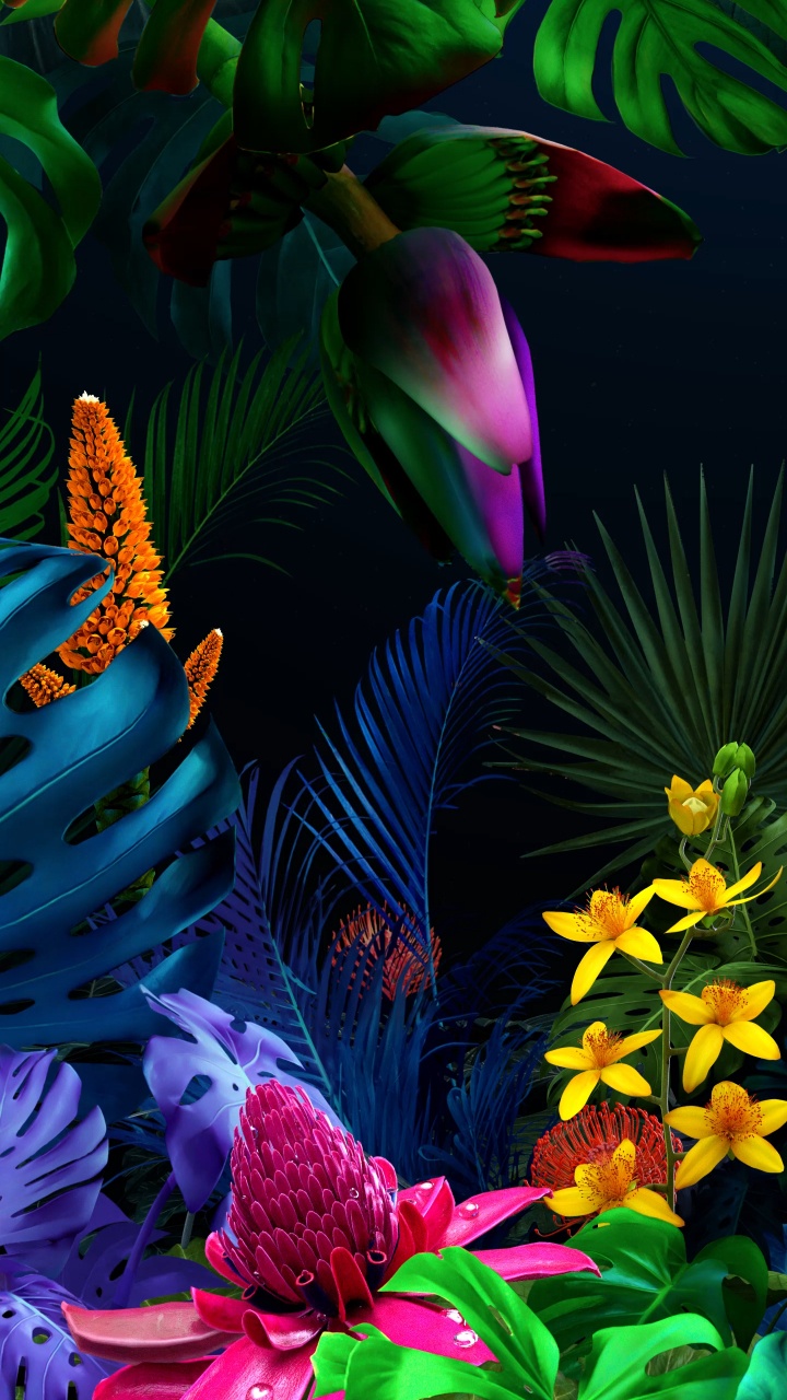 LG, LG G8 ThinQ, Smartphone, Android, Blütenblatt. Wallpaper in 720x1280 Resolution