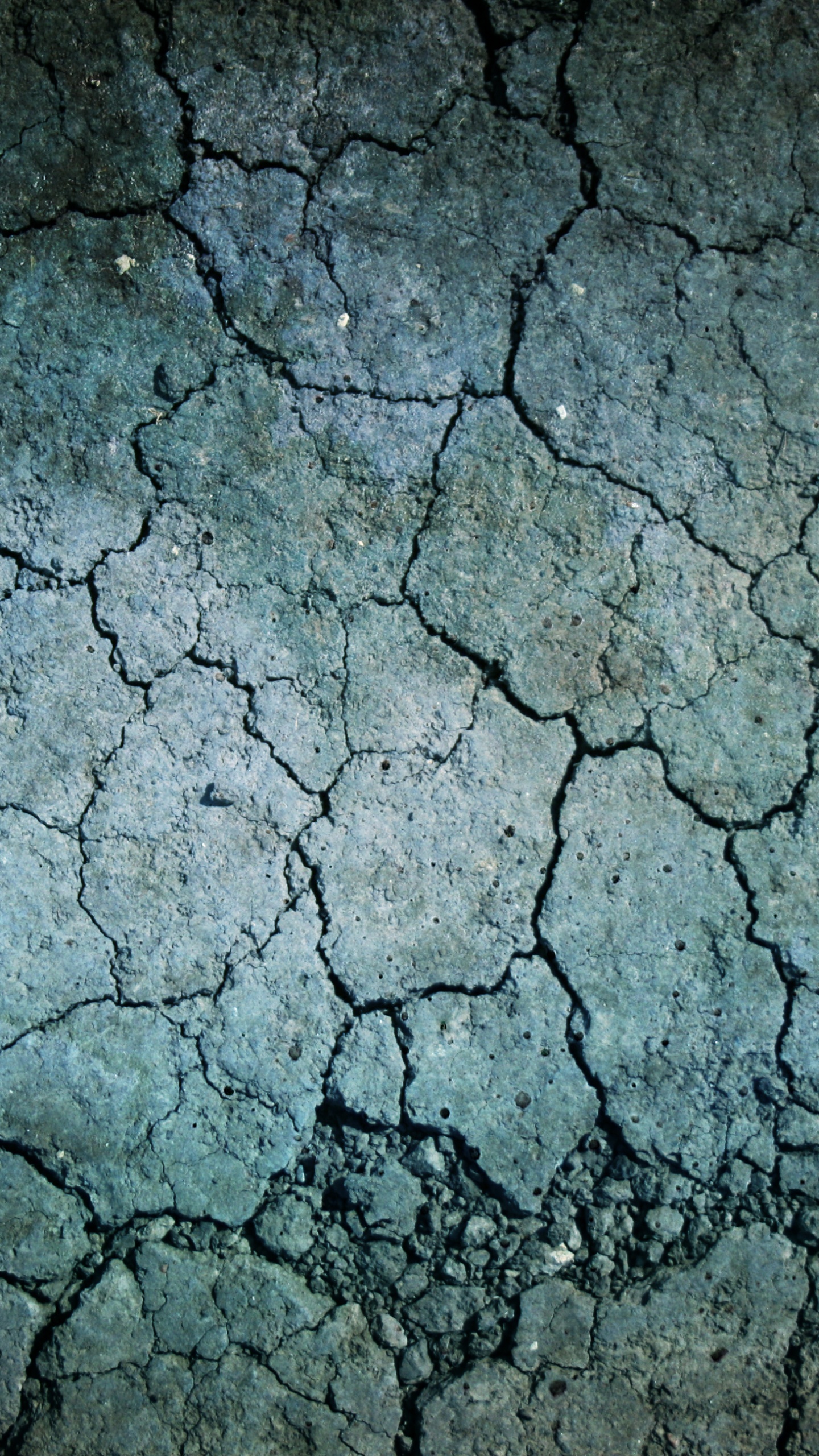 颜色, 的土壤, 草, 装饰品, 纹理映 壁纸 1440x2560 允许