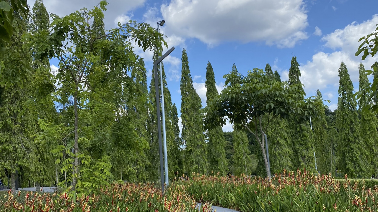 Nature, Arbuste, Botanique, Plante Terrestre, Garden. Wallpaper in 1280x720 Resolution