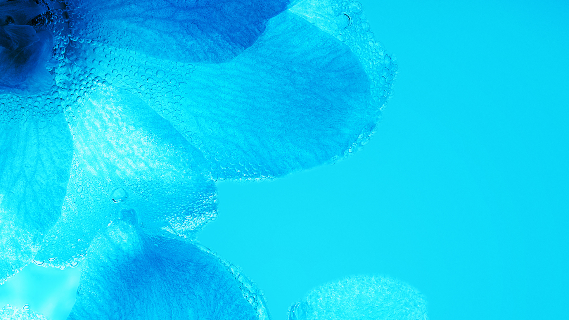 Huawei Nova, Huawei Nova 3, 华为nova 3i, 华为nova 3e, 华为nova 2i 壁纸 1920x1080 允许