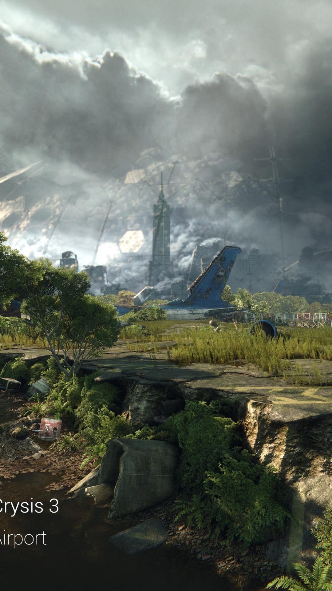Crysis 3, Landscape, Cloud, Jungle, Tree. Wallpaper in 1080x1920 Resolution