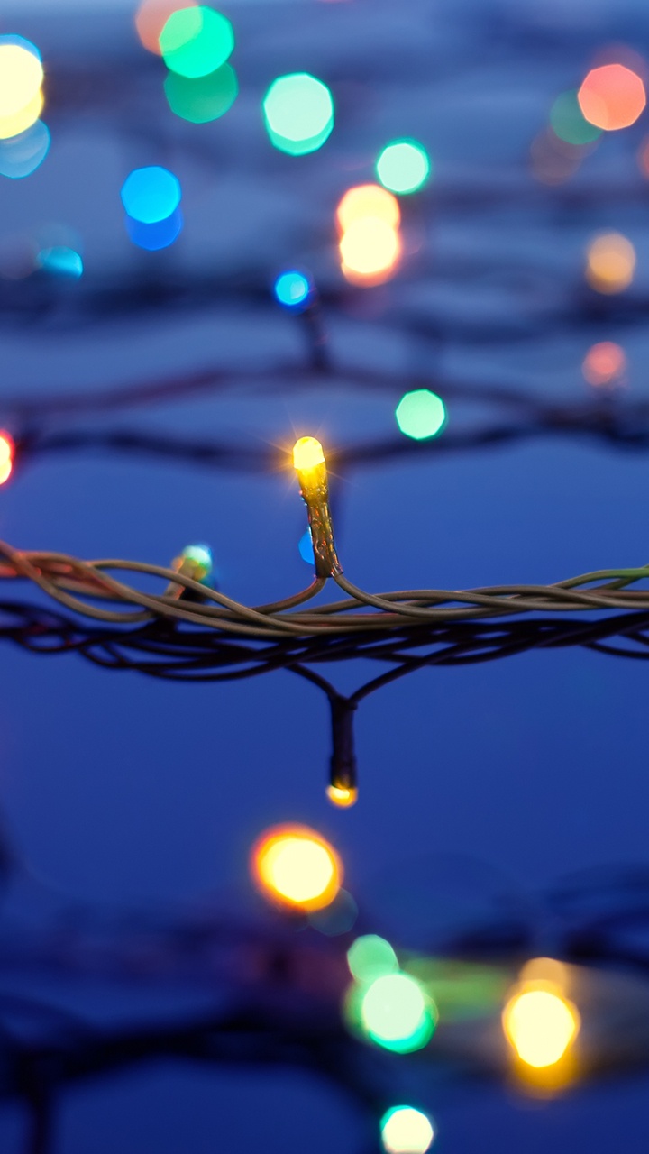 Christmas Day, Christmas Lights, Lighting, Branch, Light. Wallpaper in 720x1280 Resolution