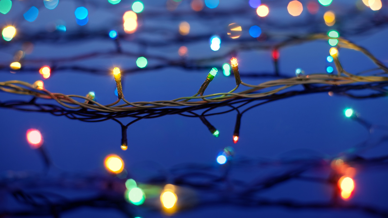 圣诞节那天, 圣诞彩灯, 光, 树枝, 反射 壁纸 1280x720 允许